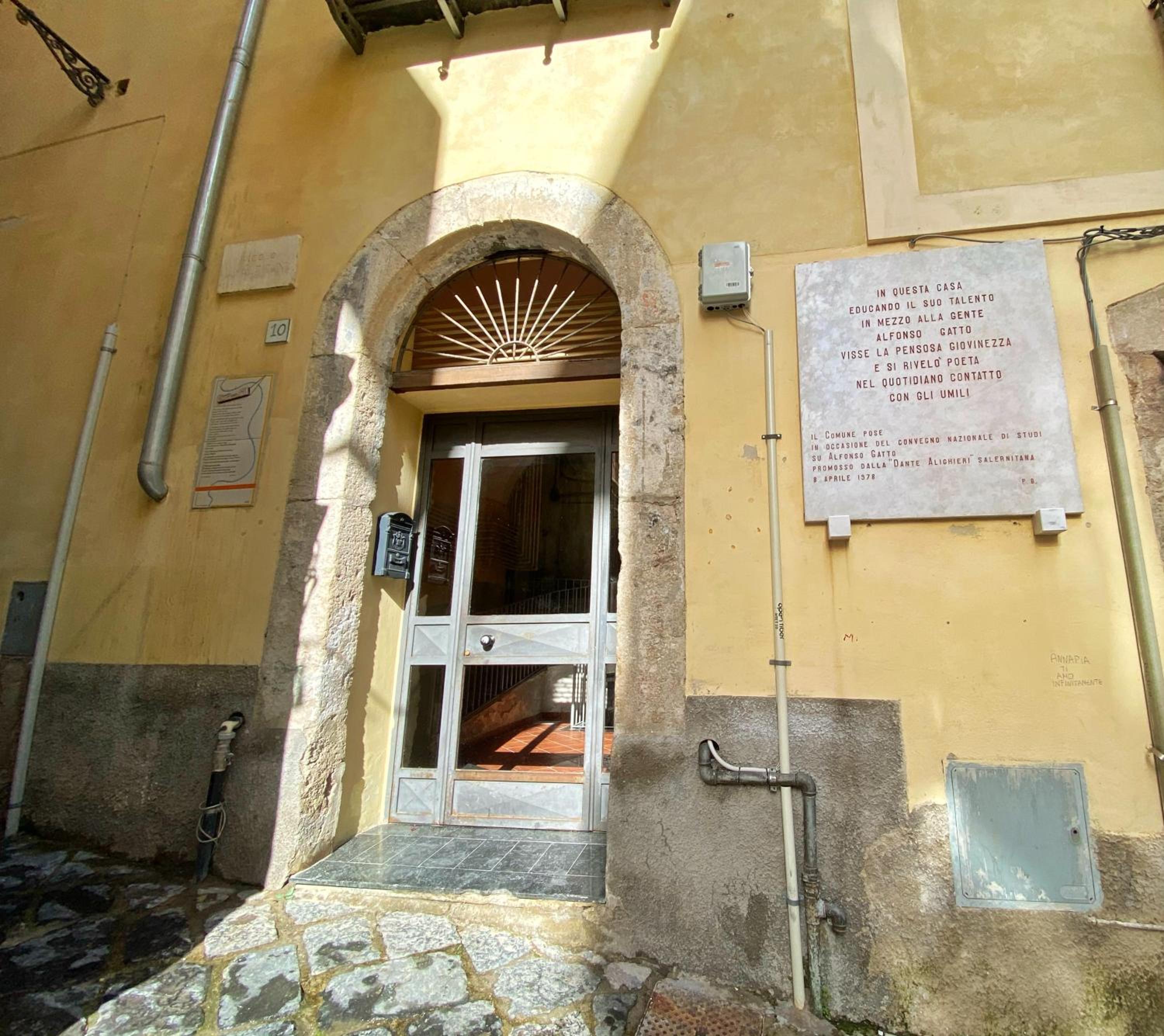 Photo 41