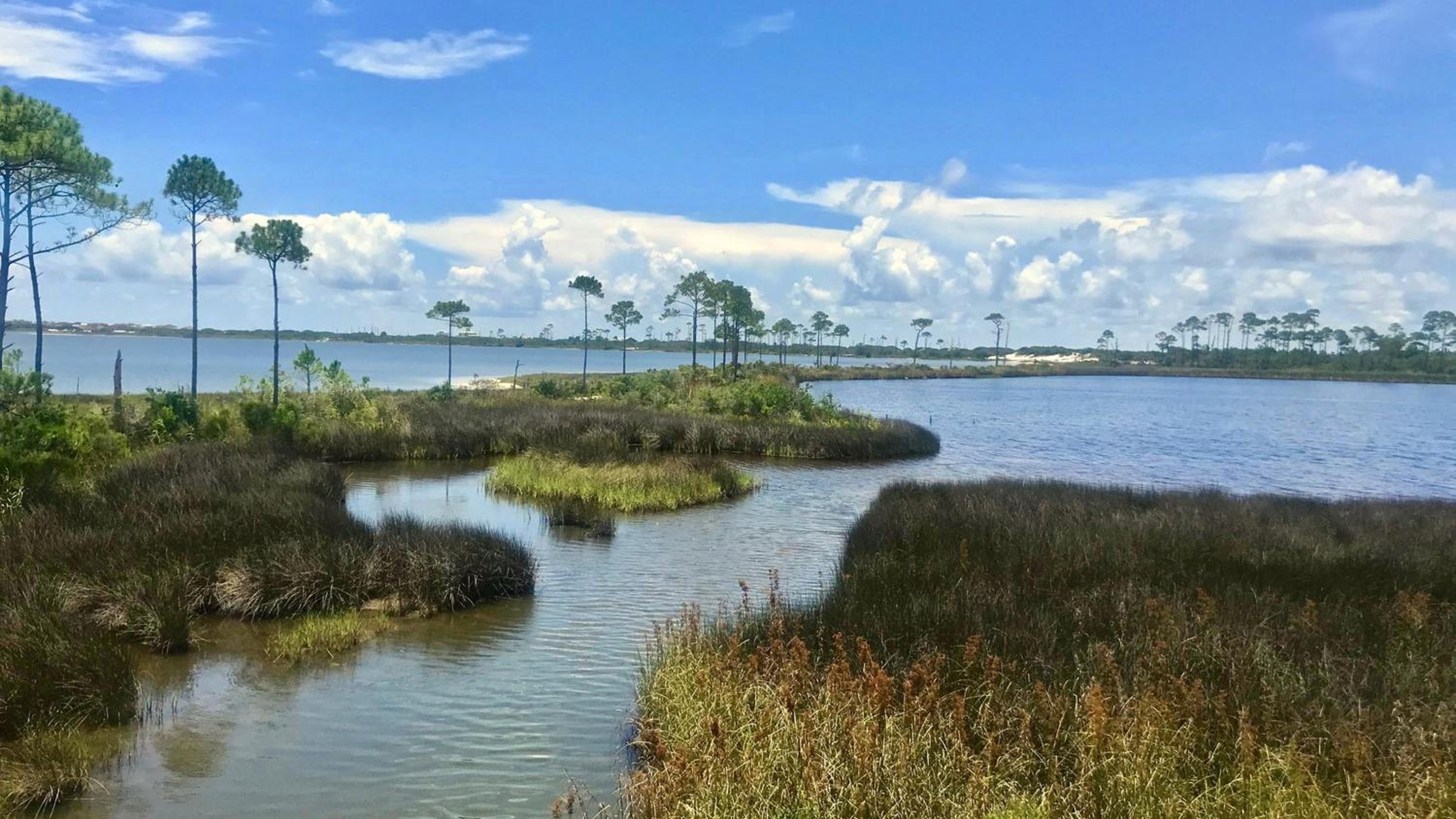 Hotel Indigo Orange Beach - Gulf Shores by IHG