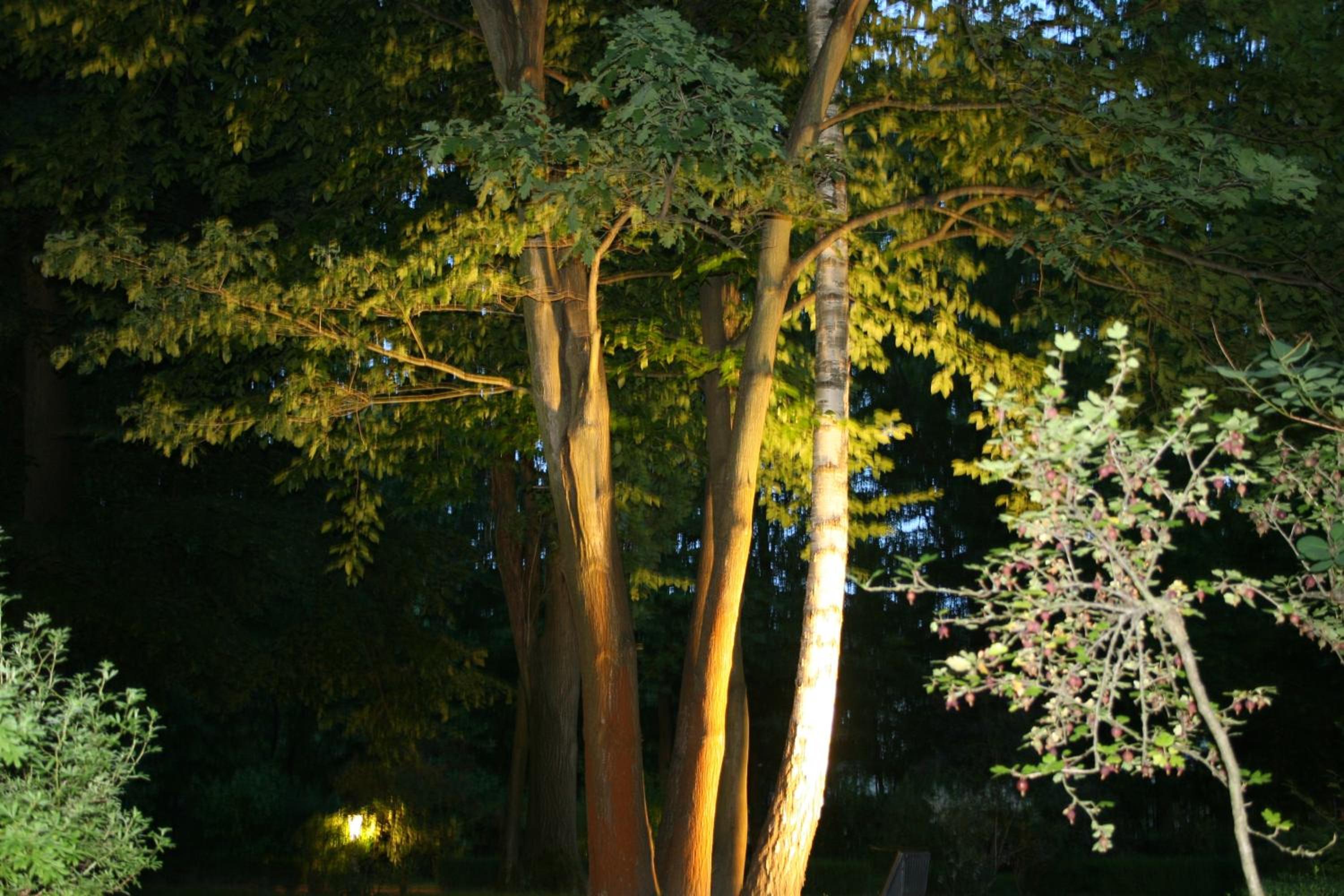 Photo 40