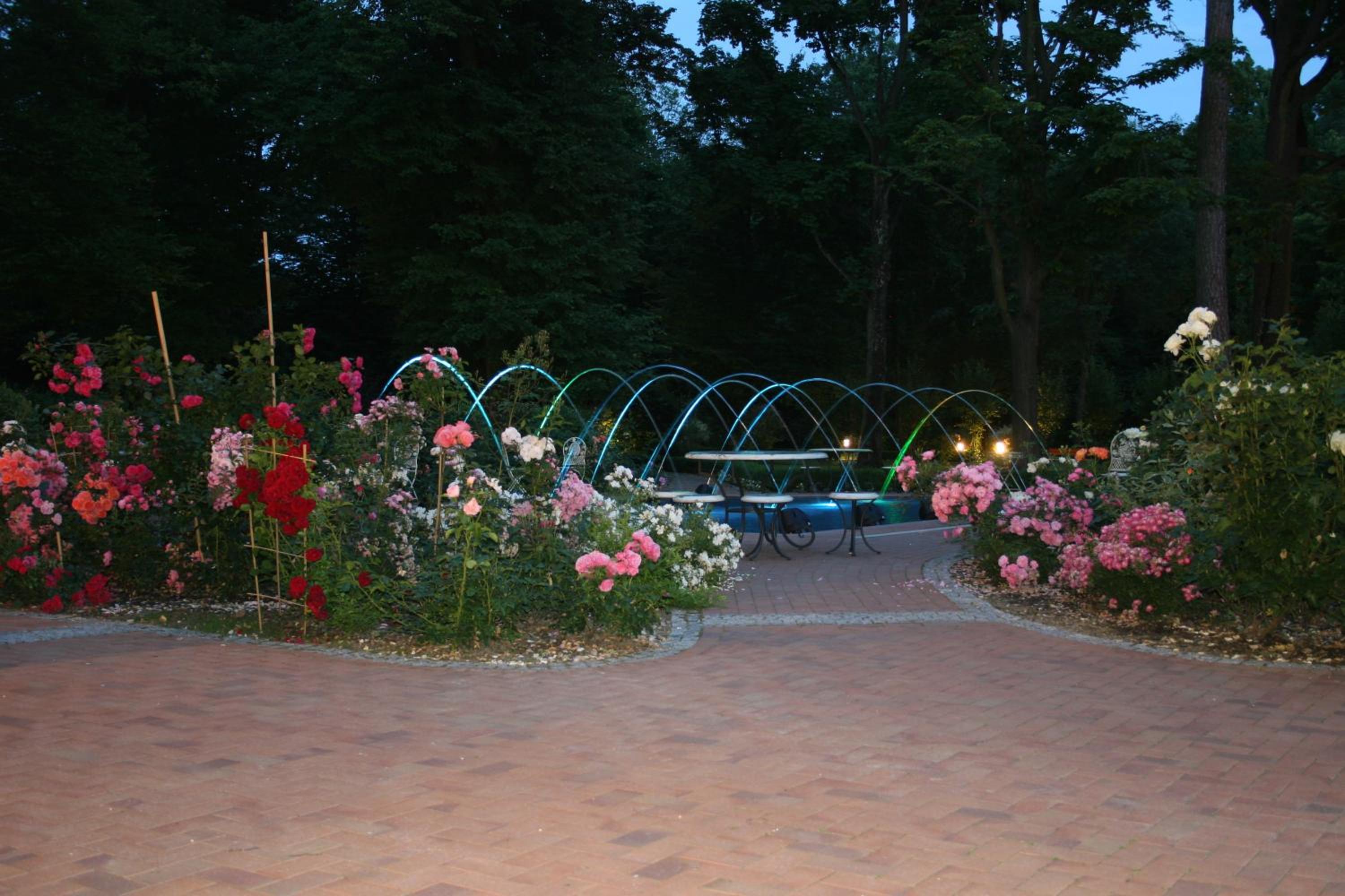 Photo 19