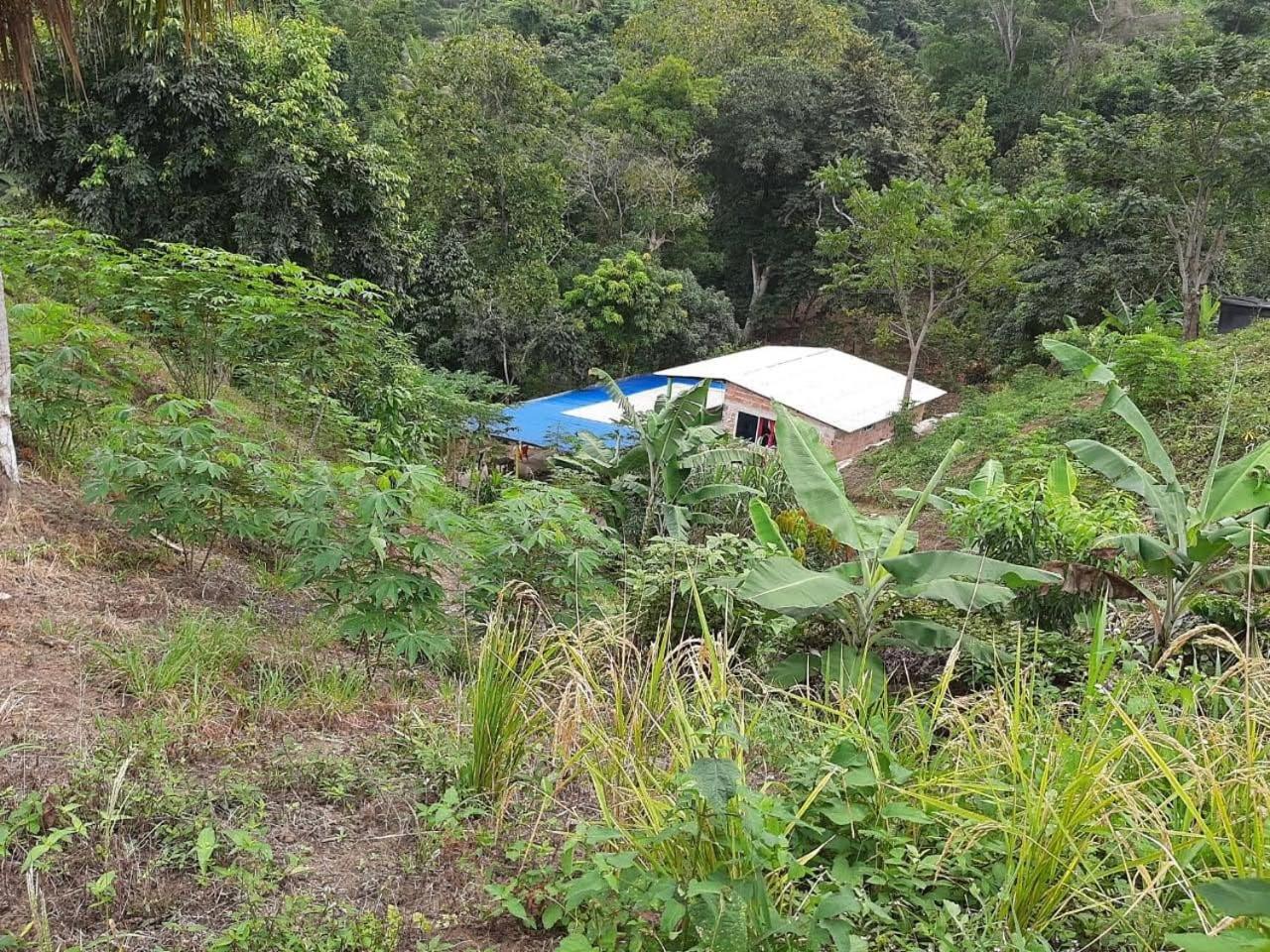 EcoHostal Tierra Prometida
