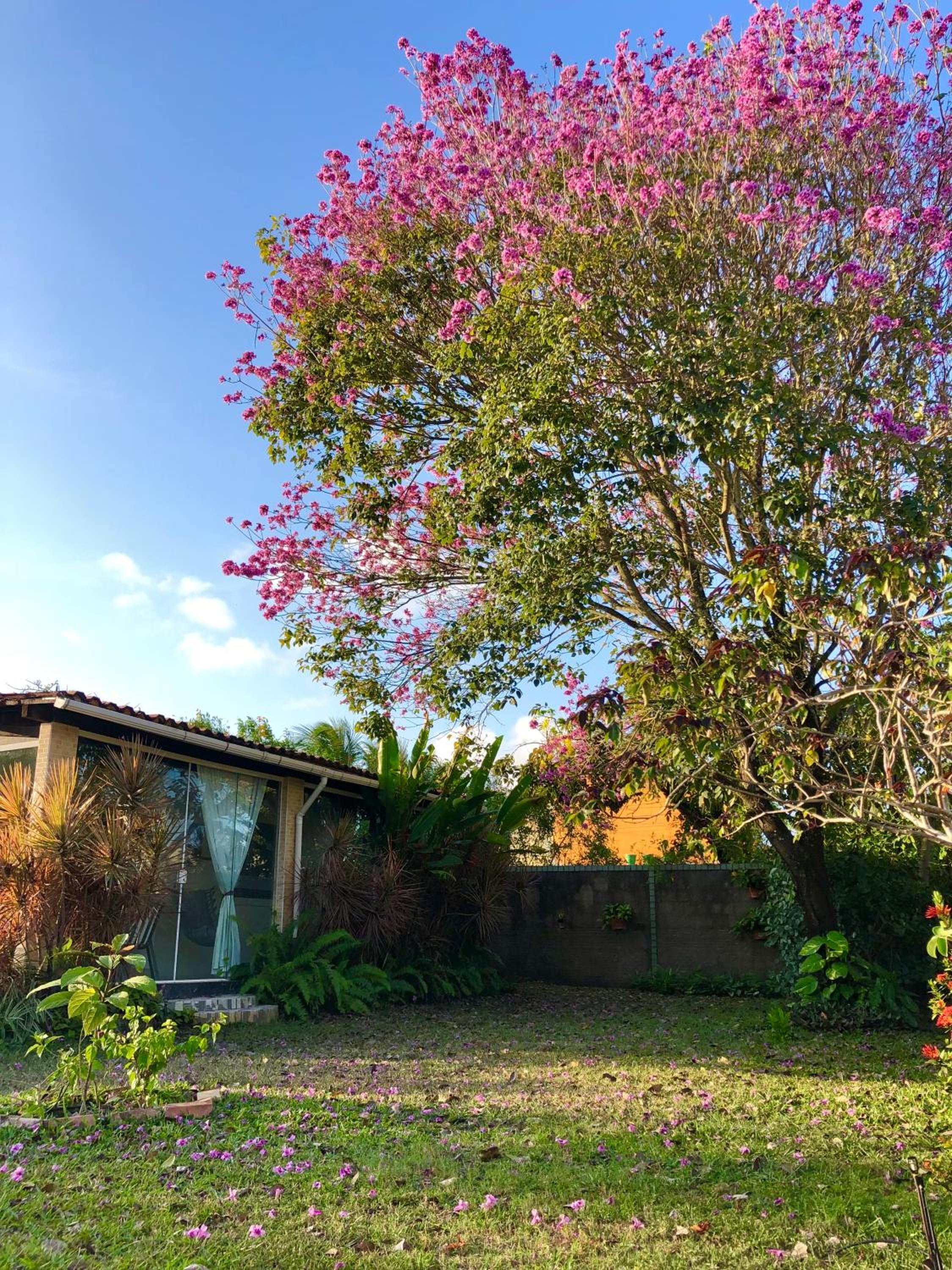 CASA BOUTIQUE MARACA Privativa