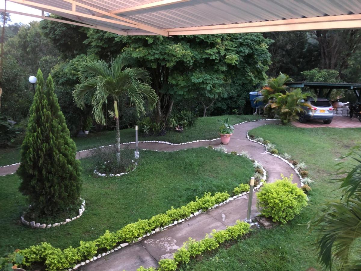 Aventurina