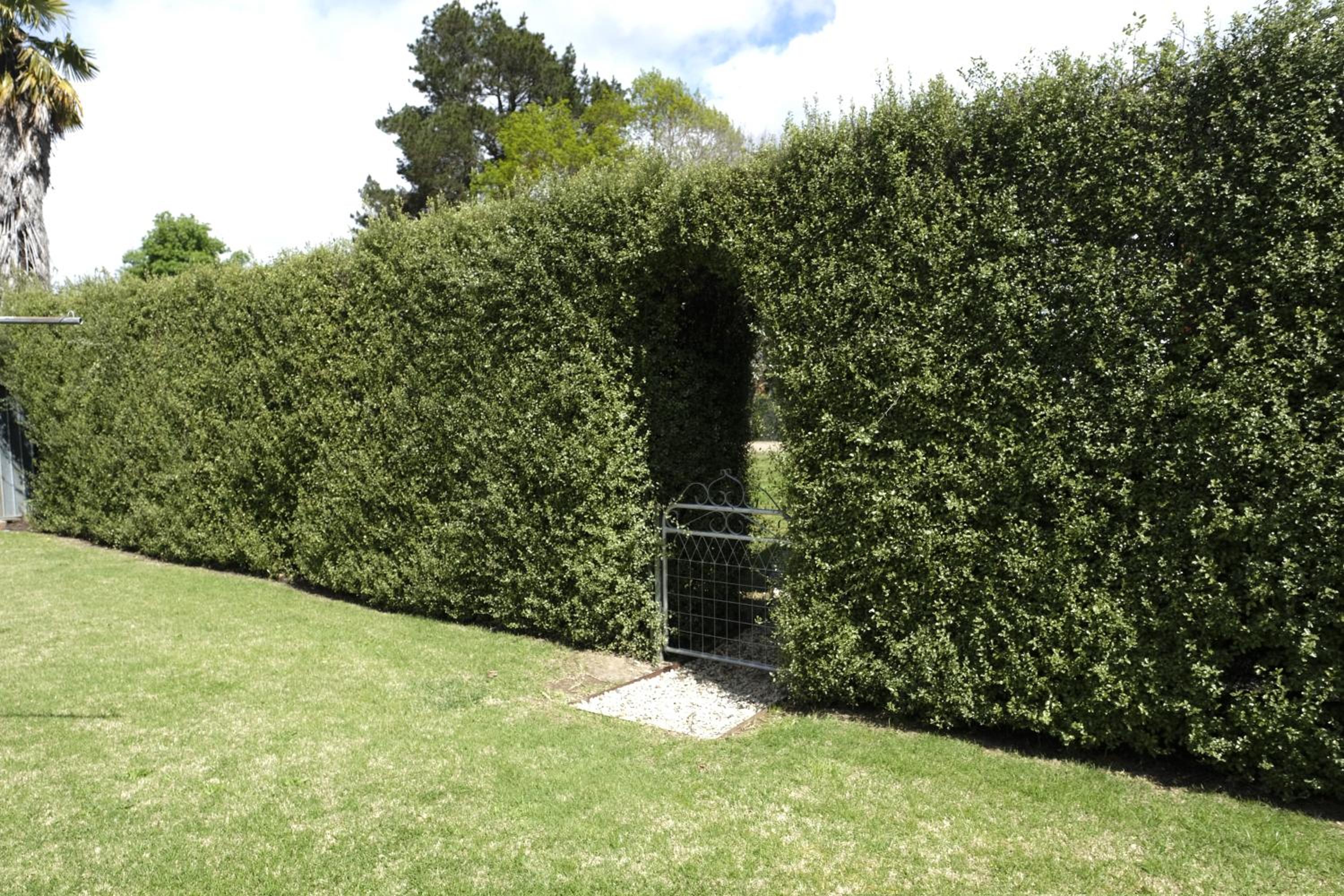Belford House