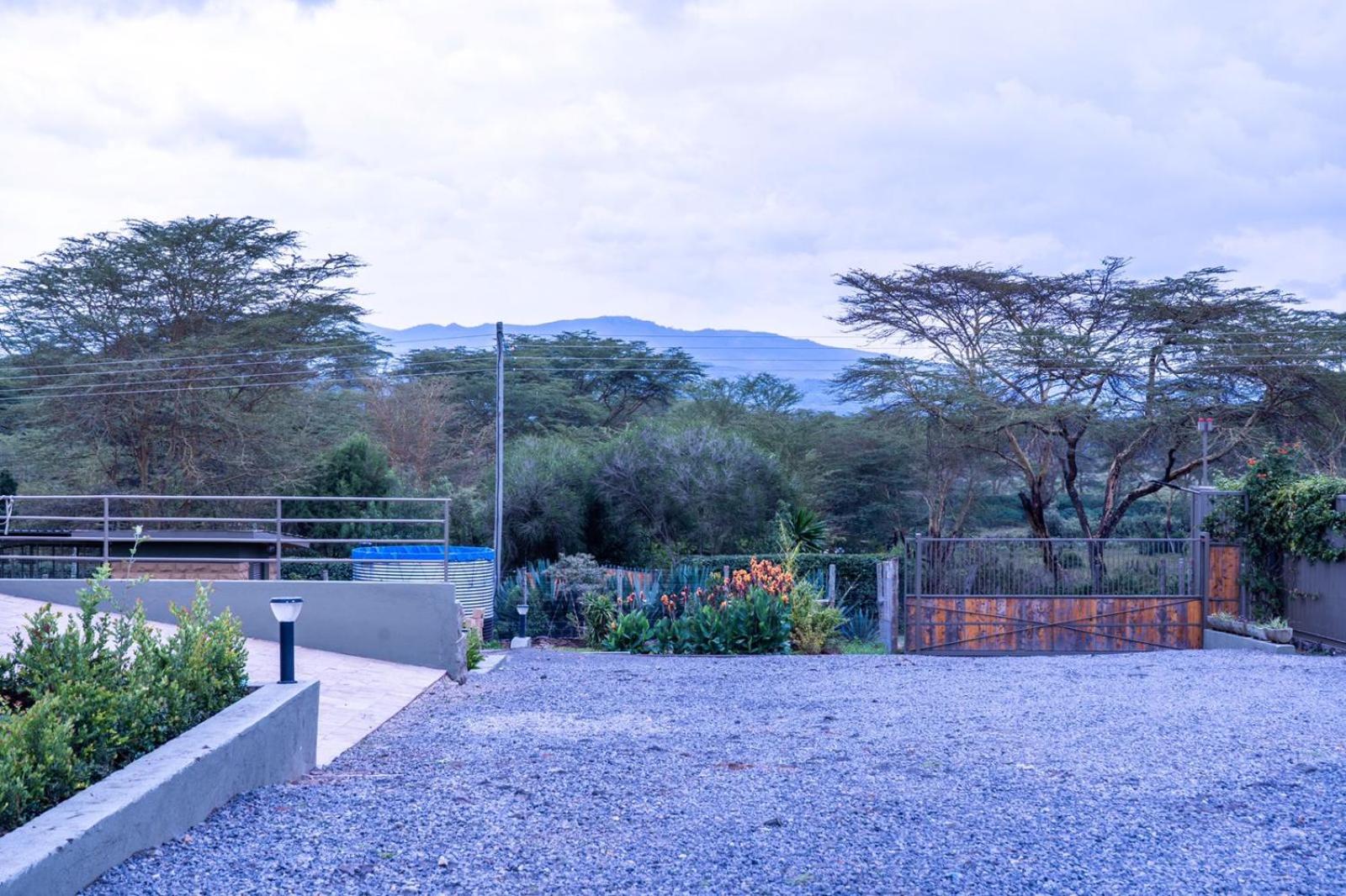 Alphas Homestay view 4