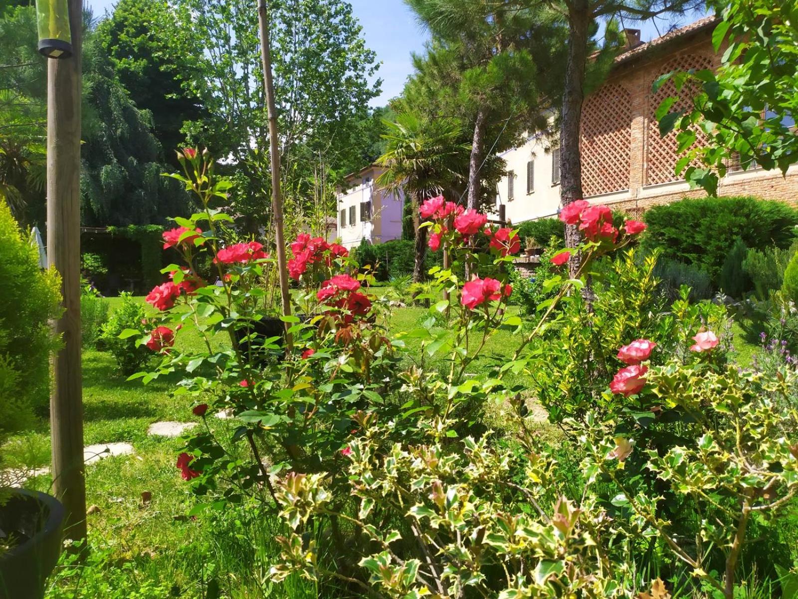Photo 31