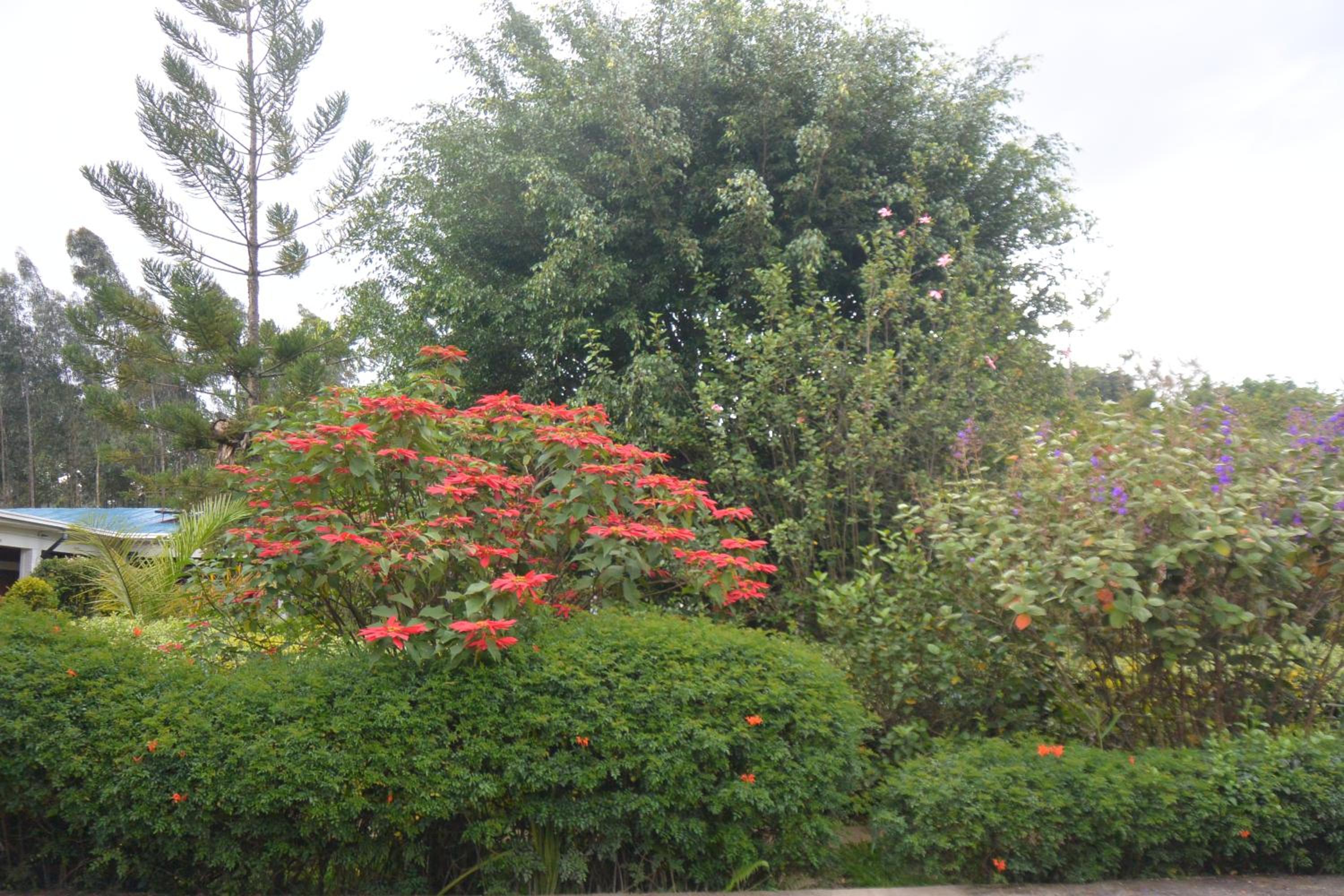 Photo 34