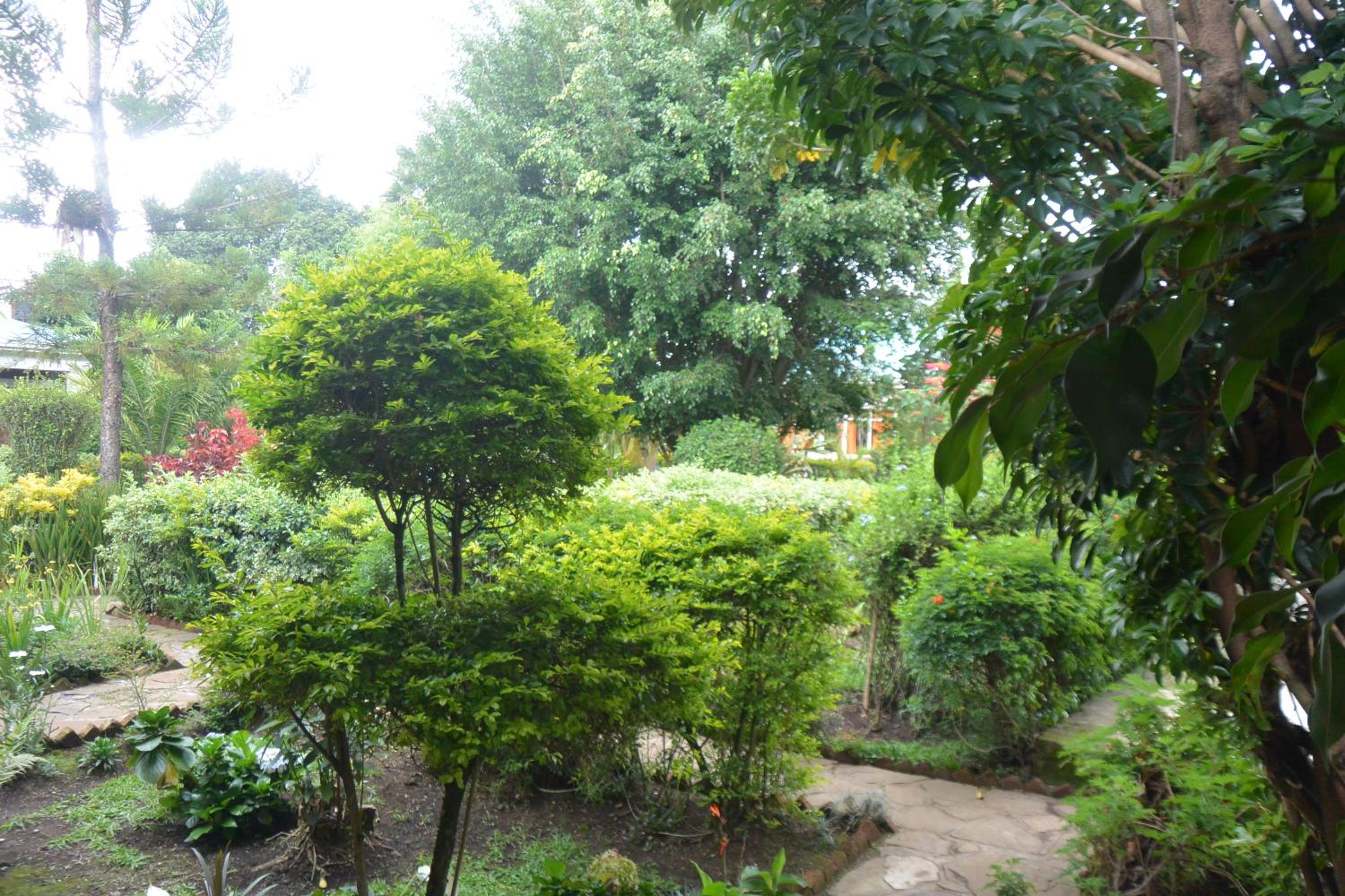 Photo 29