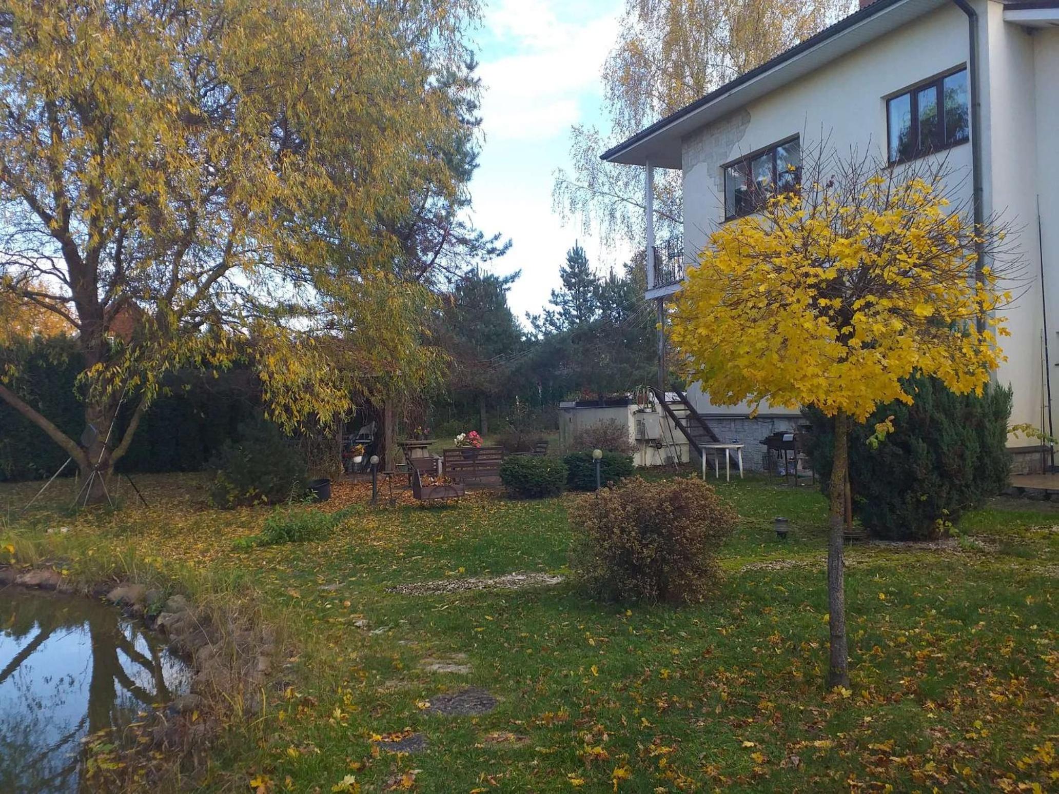 Photo 127