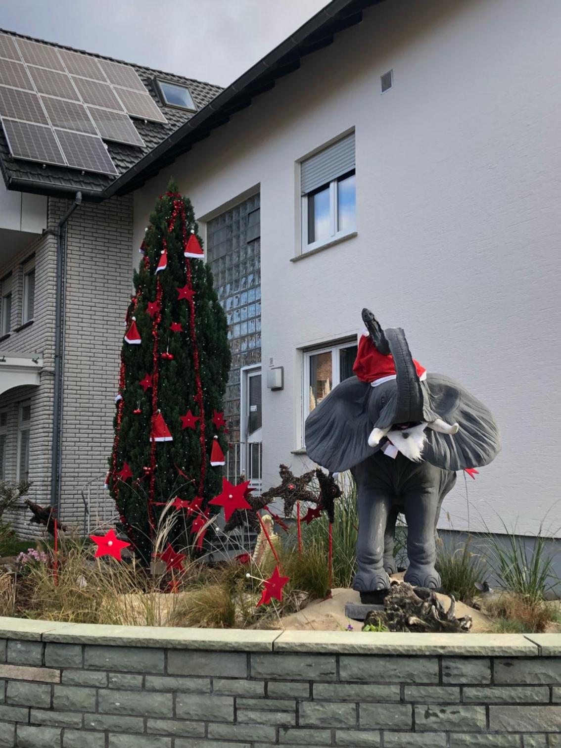 Photo 48