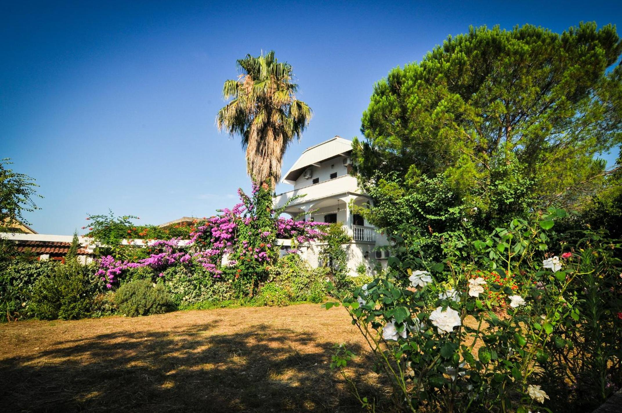 Apartments Villa Stankovic
