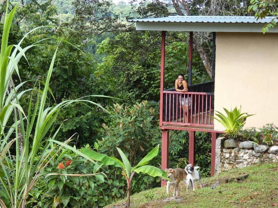 Tapiru's House - Bahia Drake view 3