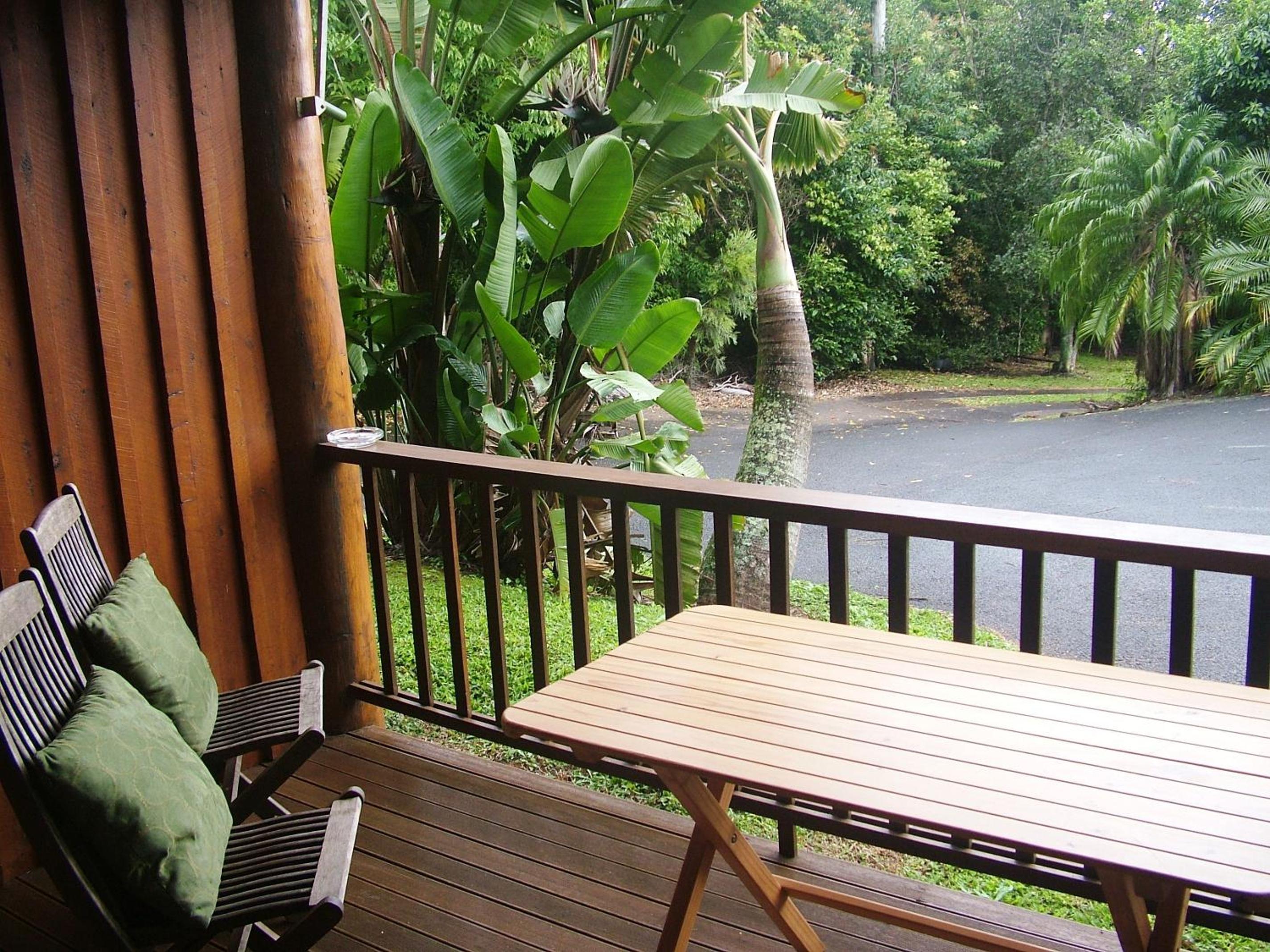 Atherton Blue Gum