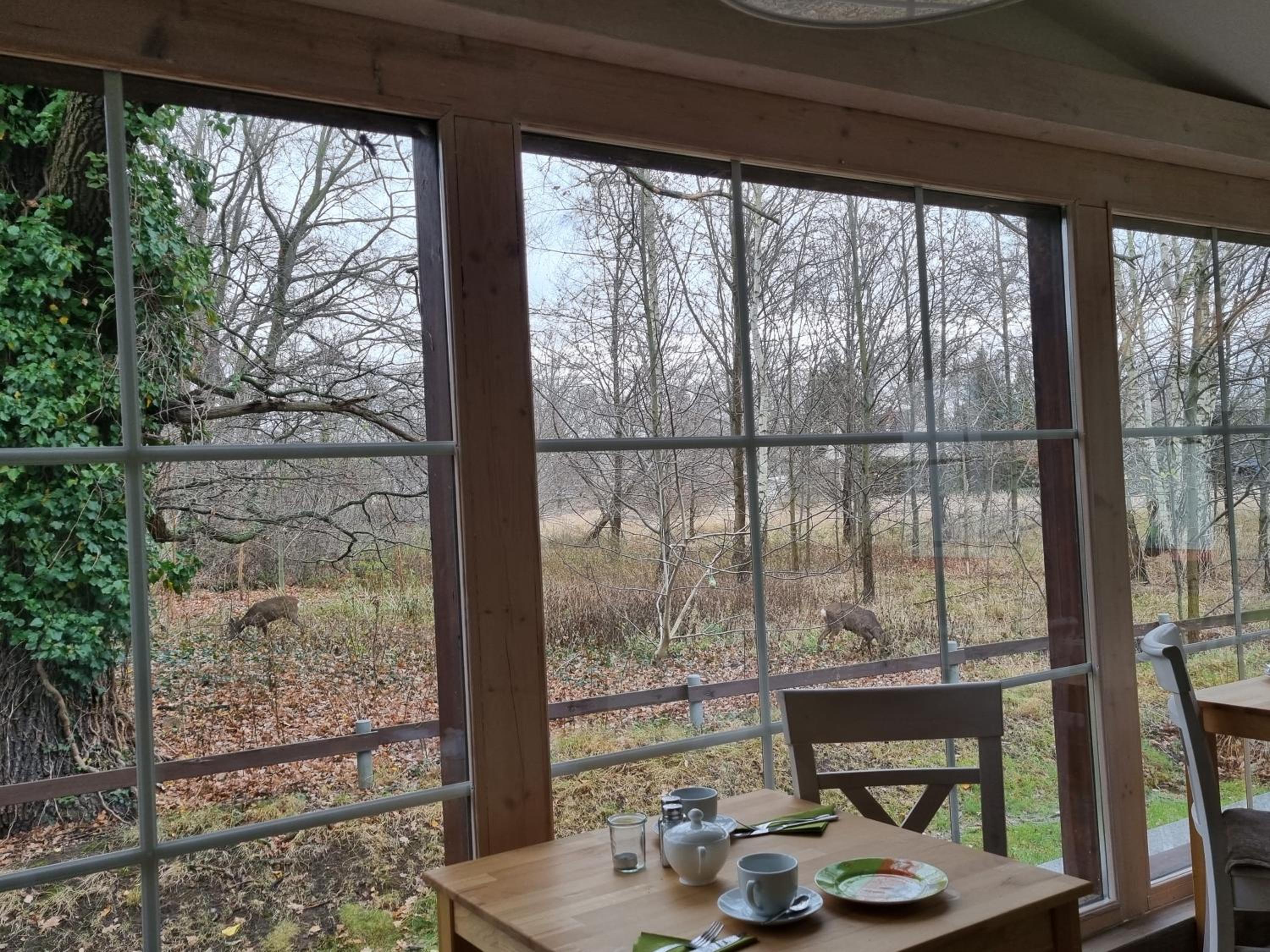 Spreewälder Feriendomizil/Pension