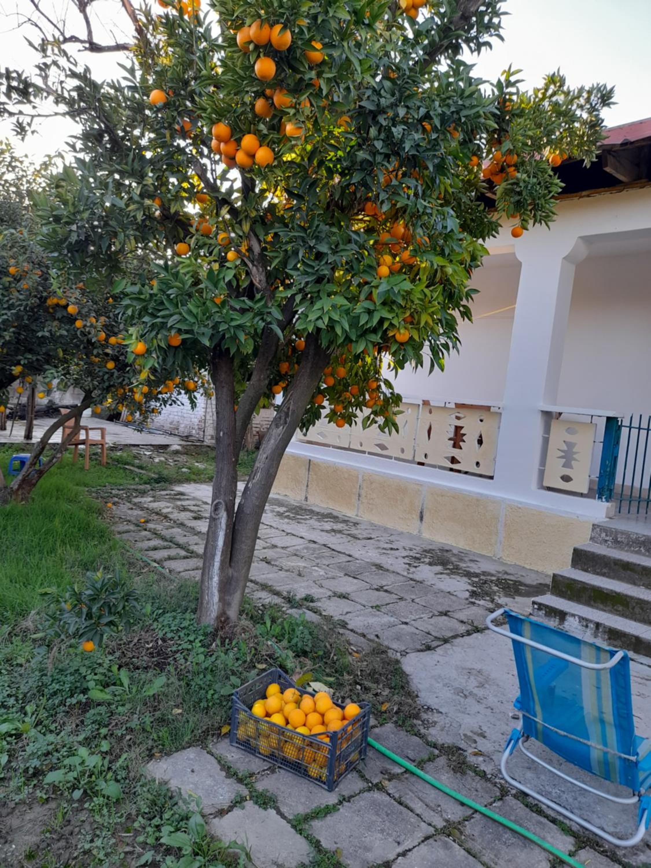 other