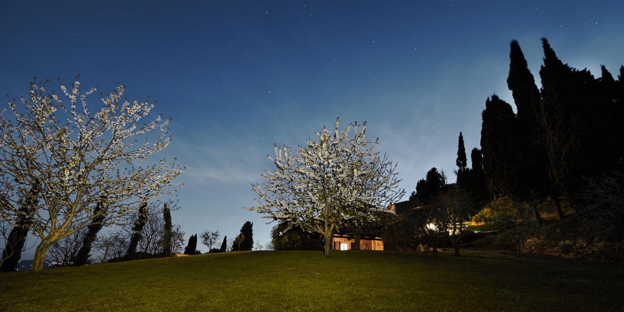 Borgo Il Castagno