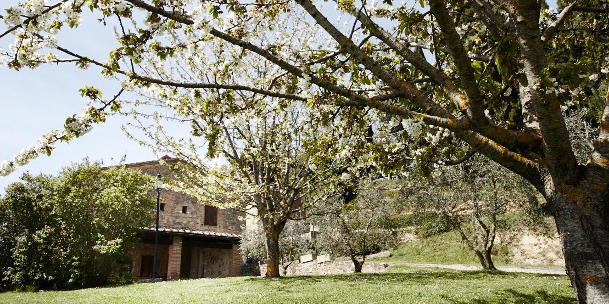 Borgo Il Castagno