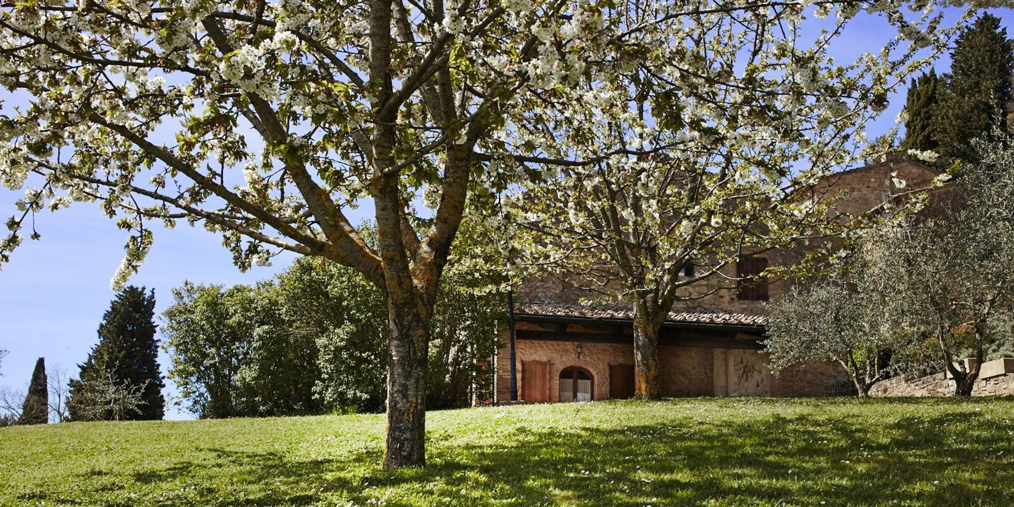 Borgo Il Castagno