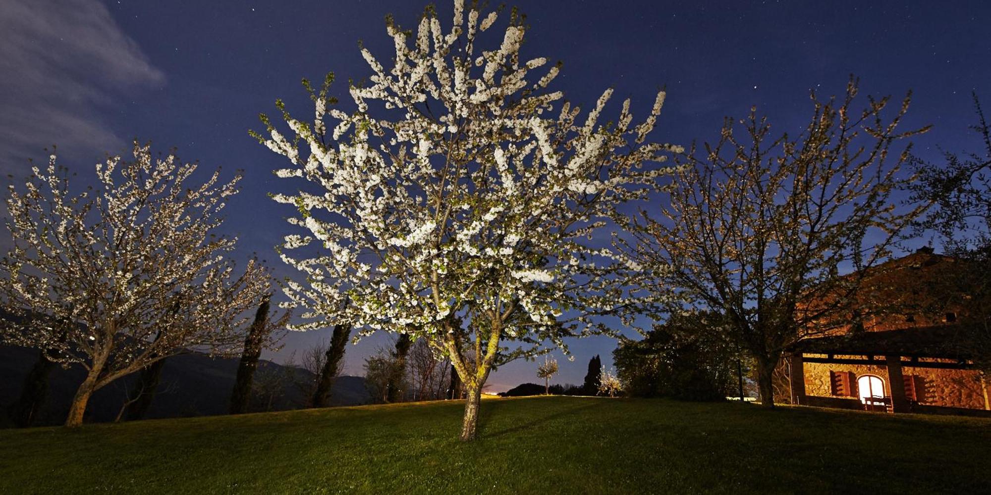 Borgo Il Castagno