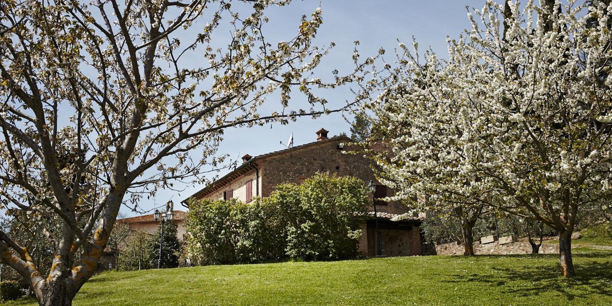 Borgo Il Castagno