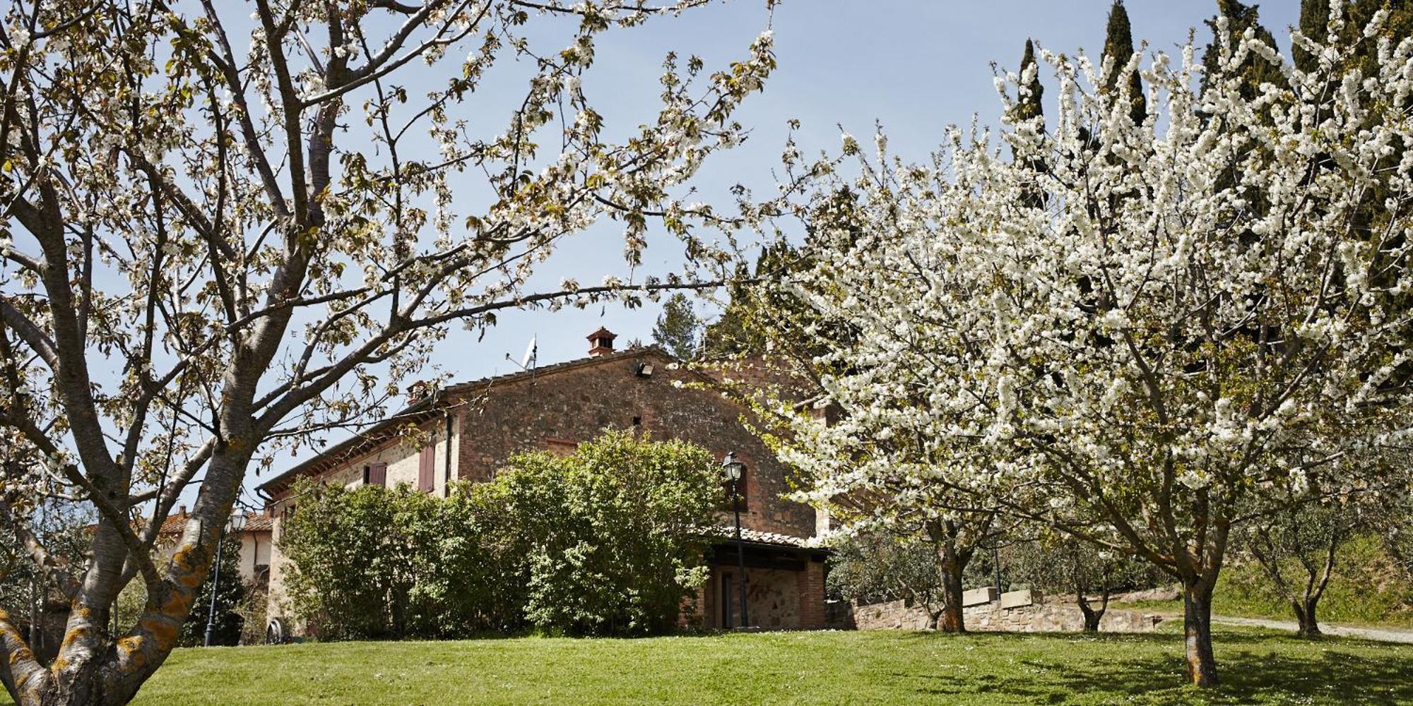 Borgo Il Castagno