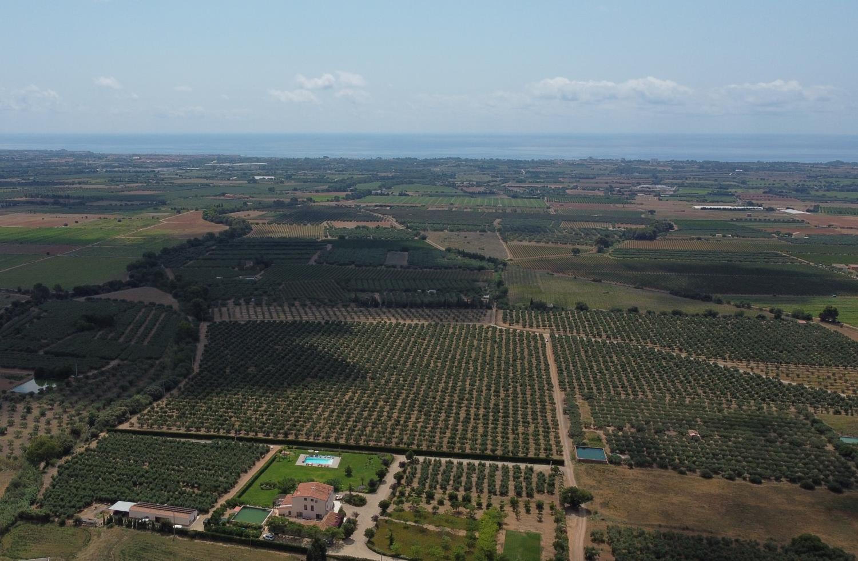 Mas Montbrio Belvedere