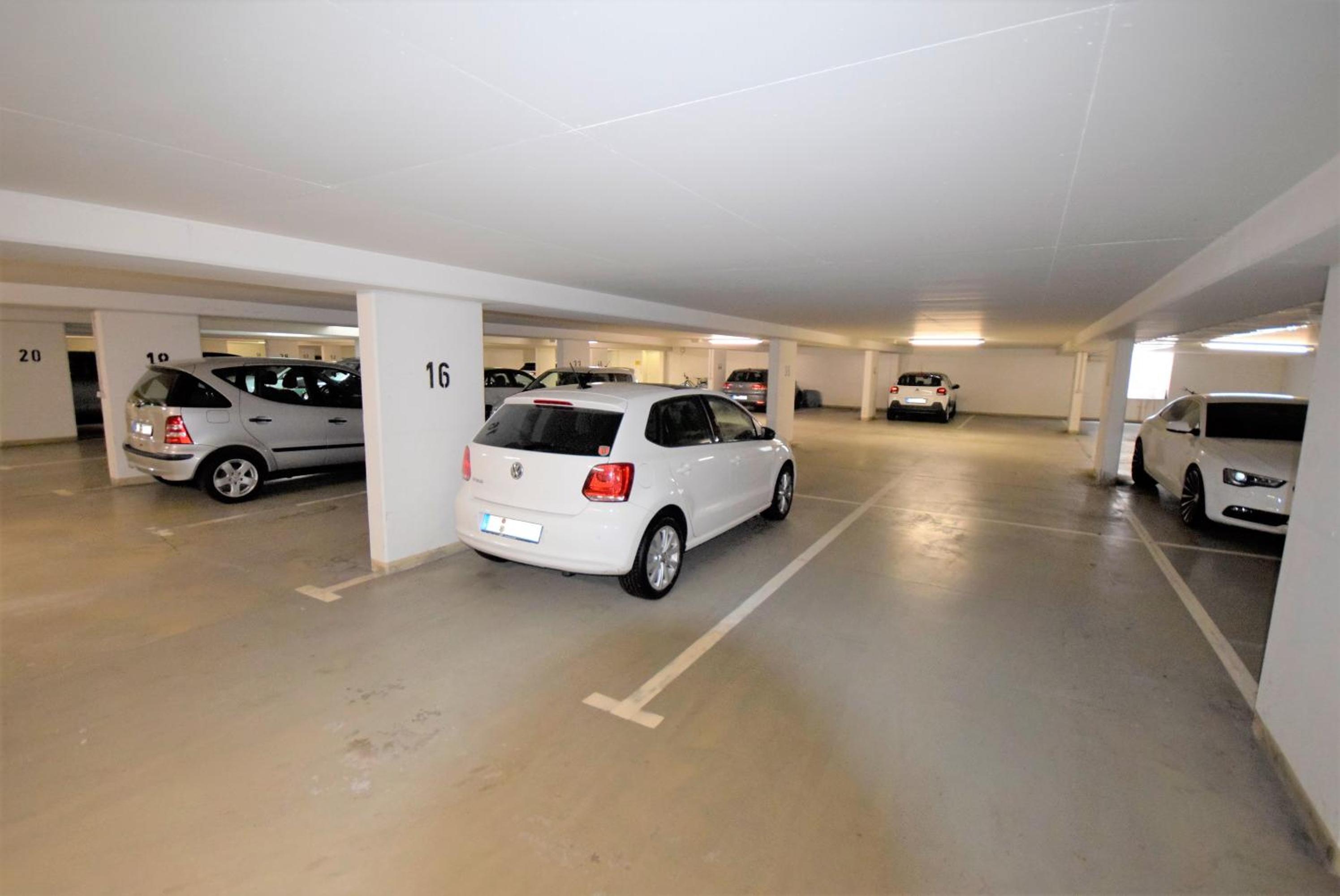 Naherholung Ferienwohnung Bad Säckingen