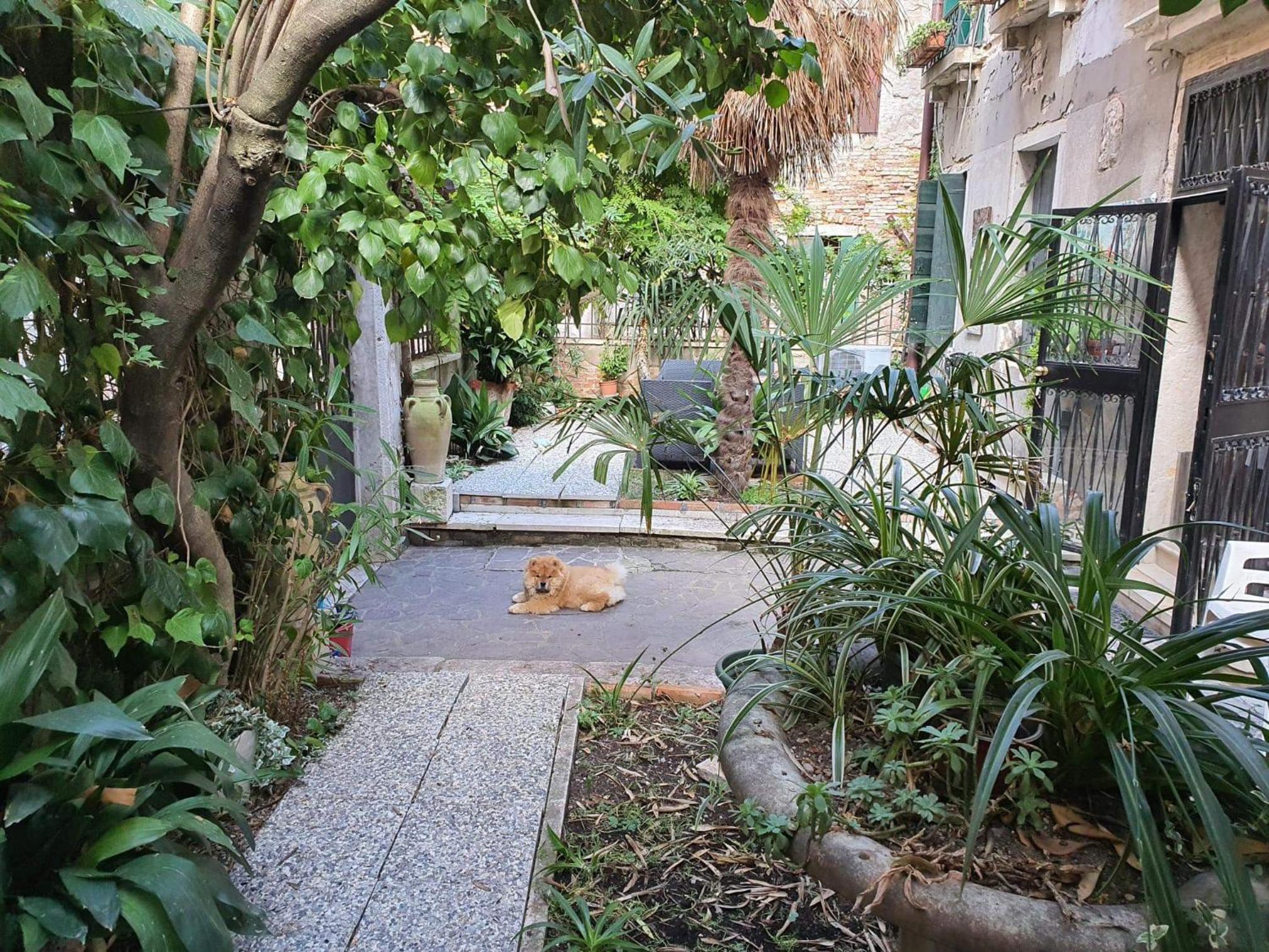 Residenza oleandro rosa