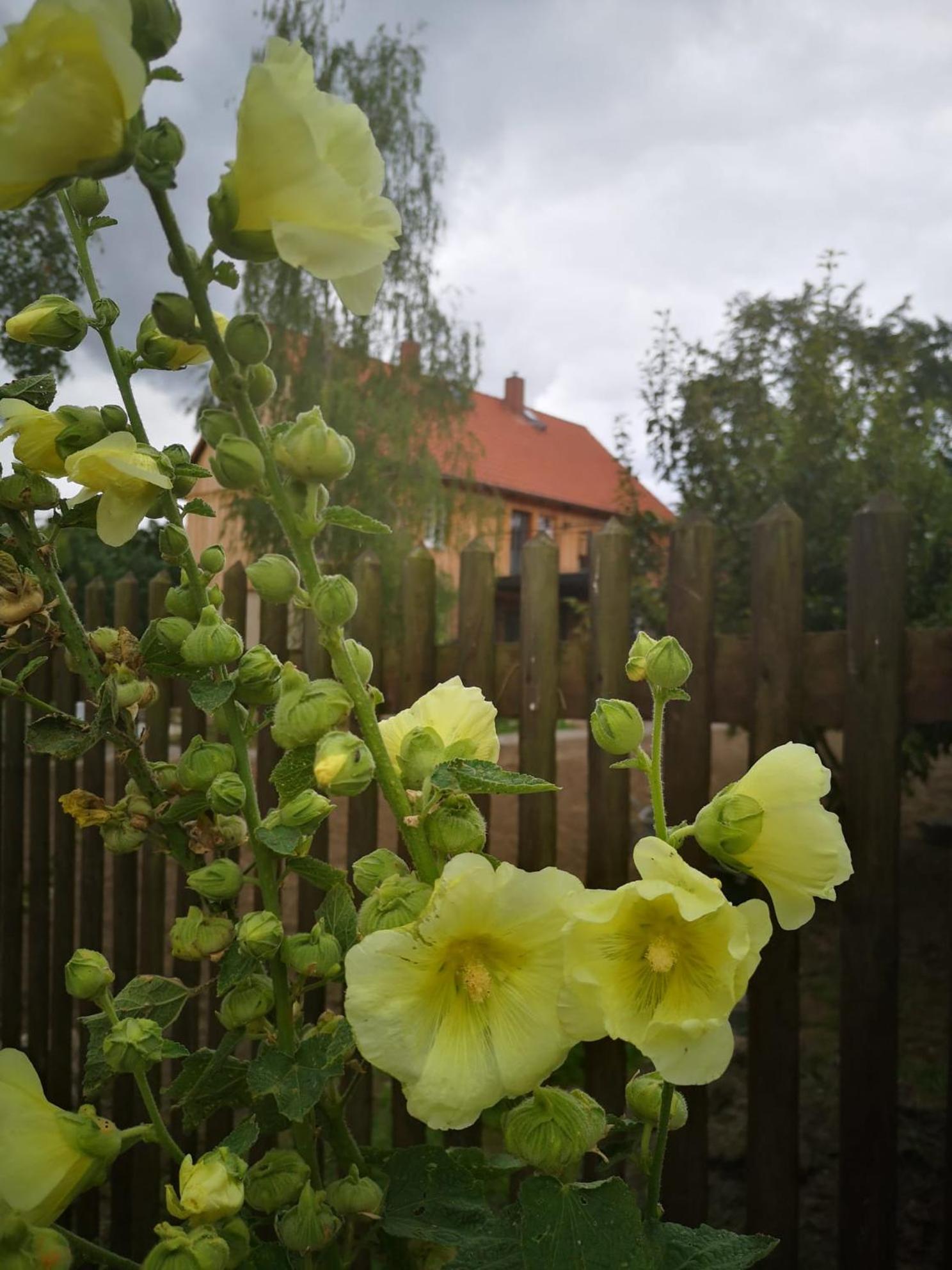 Hof Janne Stapelburg view 3