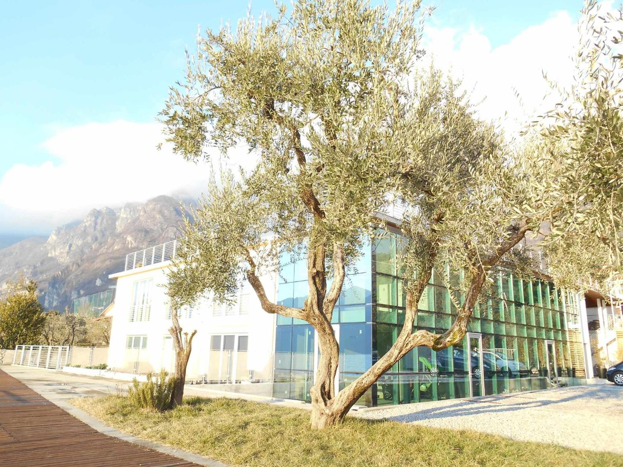 Direttamente Al Lago Apartments