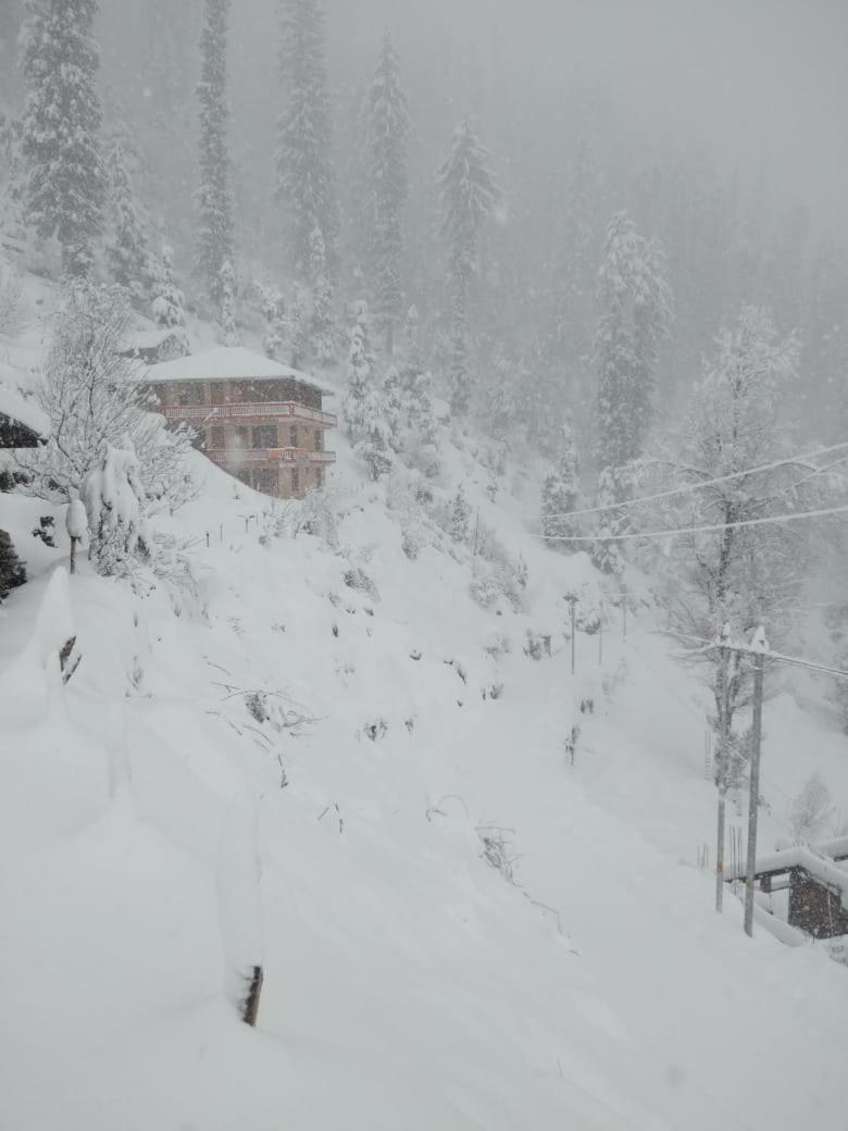 Odin Hostel Shoja view 4