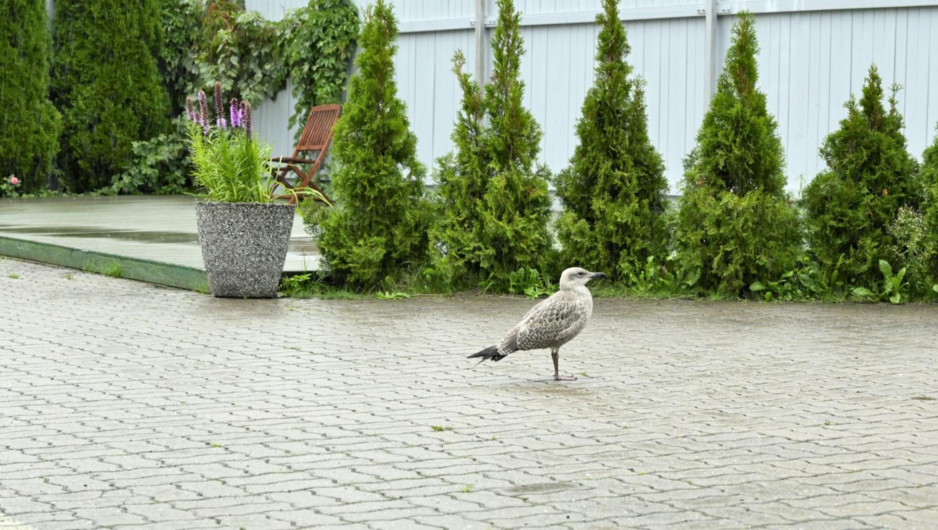 Tallinn Apartments K8 Free parking view 4