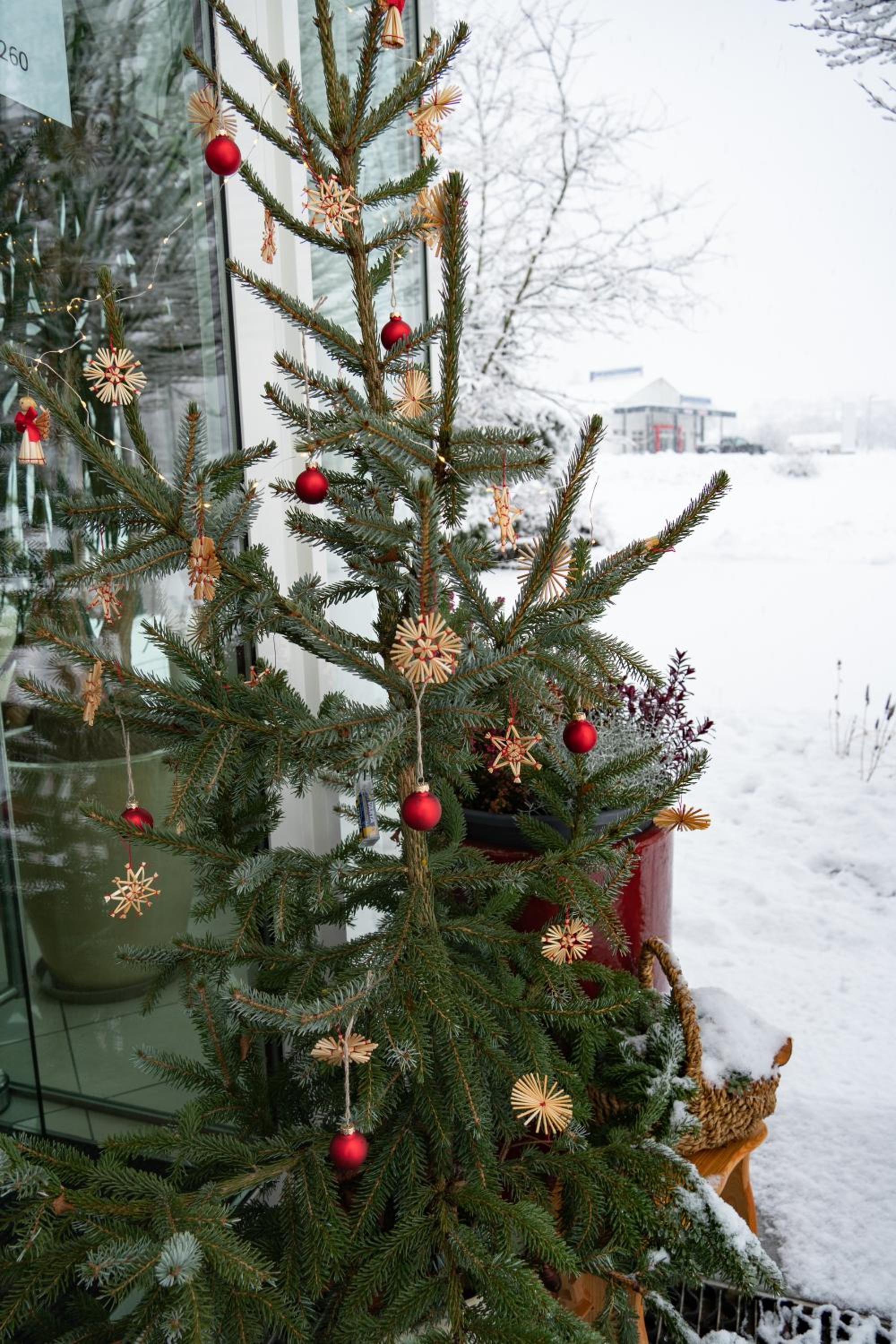 Kärnten Card inkludiert - Apartments nahe Bad Kleinkirchheim