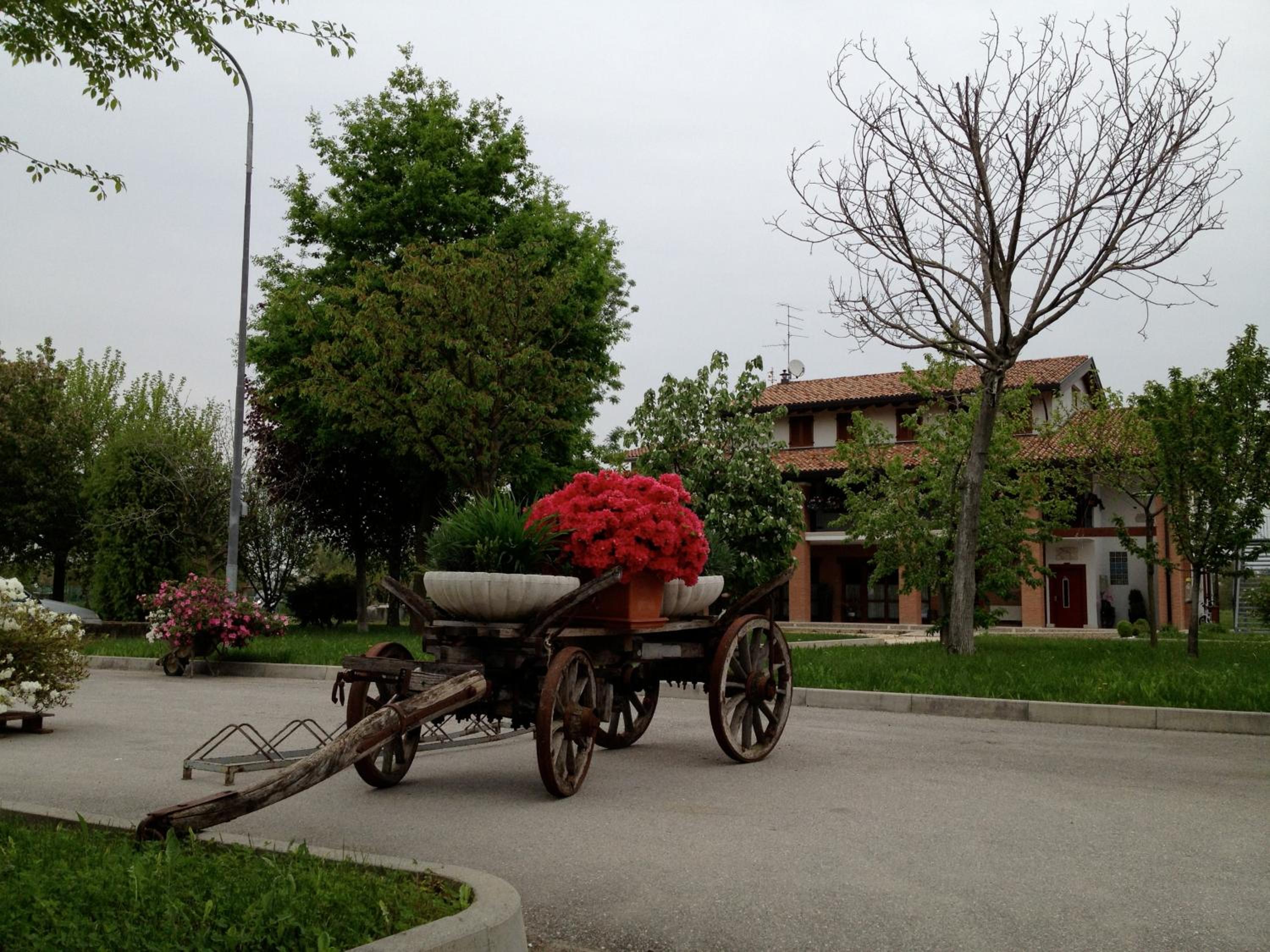 Photo 36