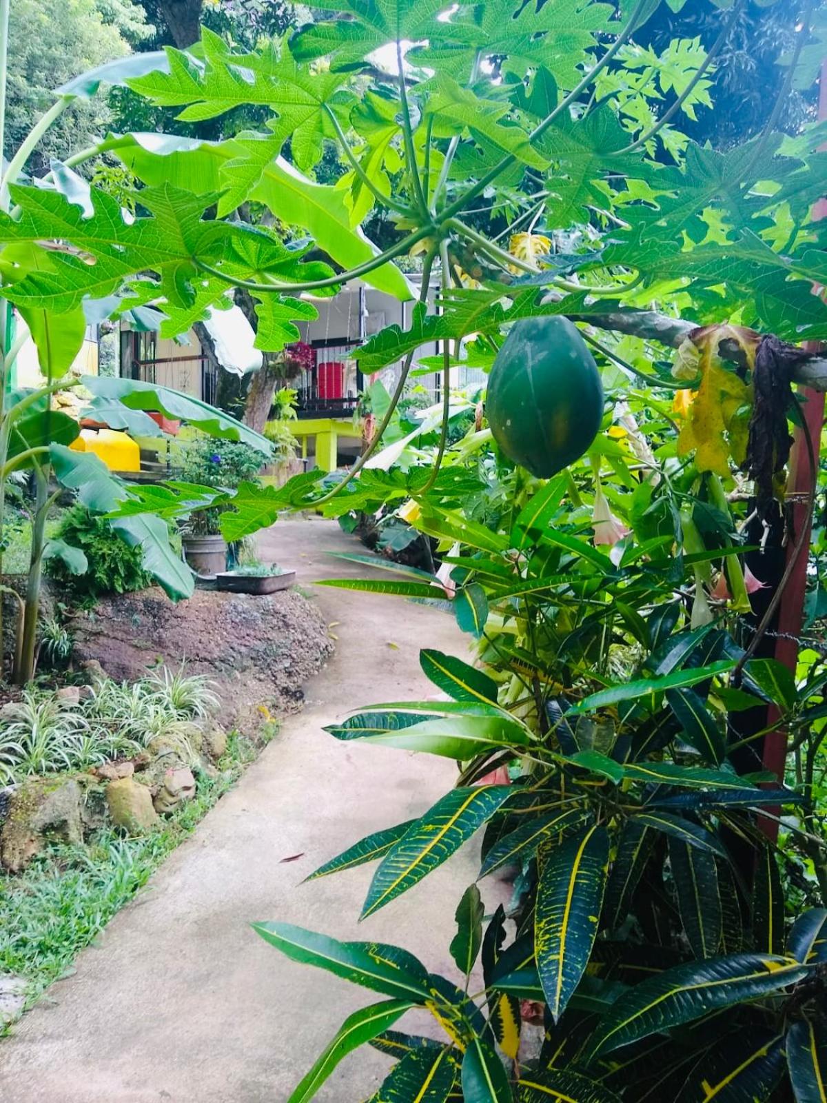 Finca Peñitas