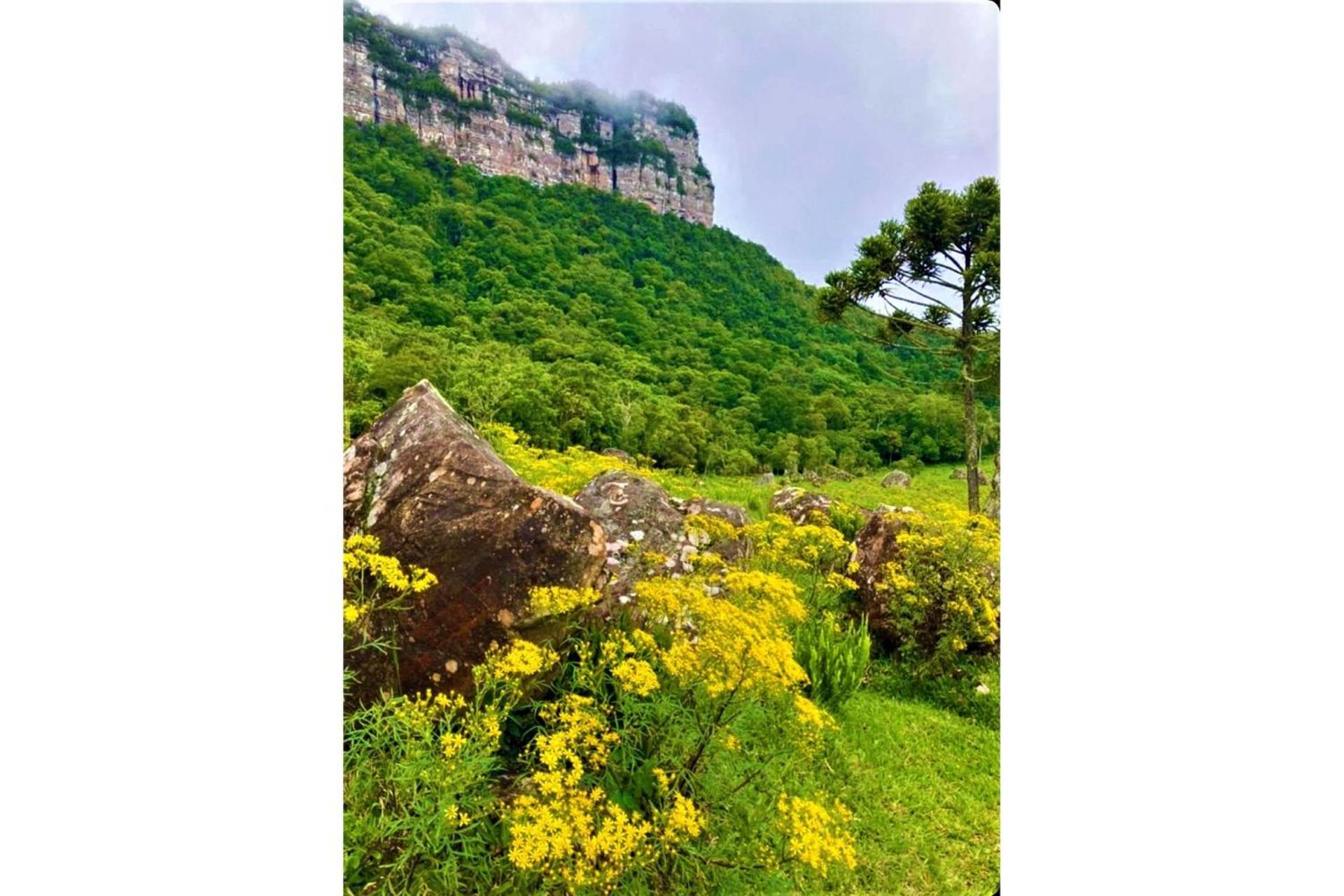 Refúgio Serra da Tartaruga - Alfredo Wagner