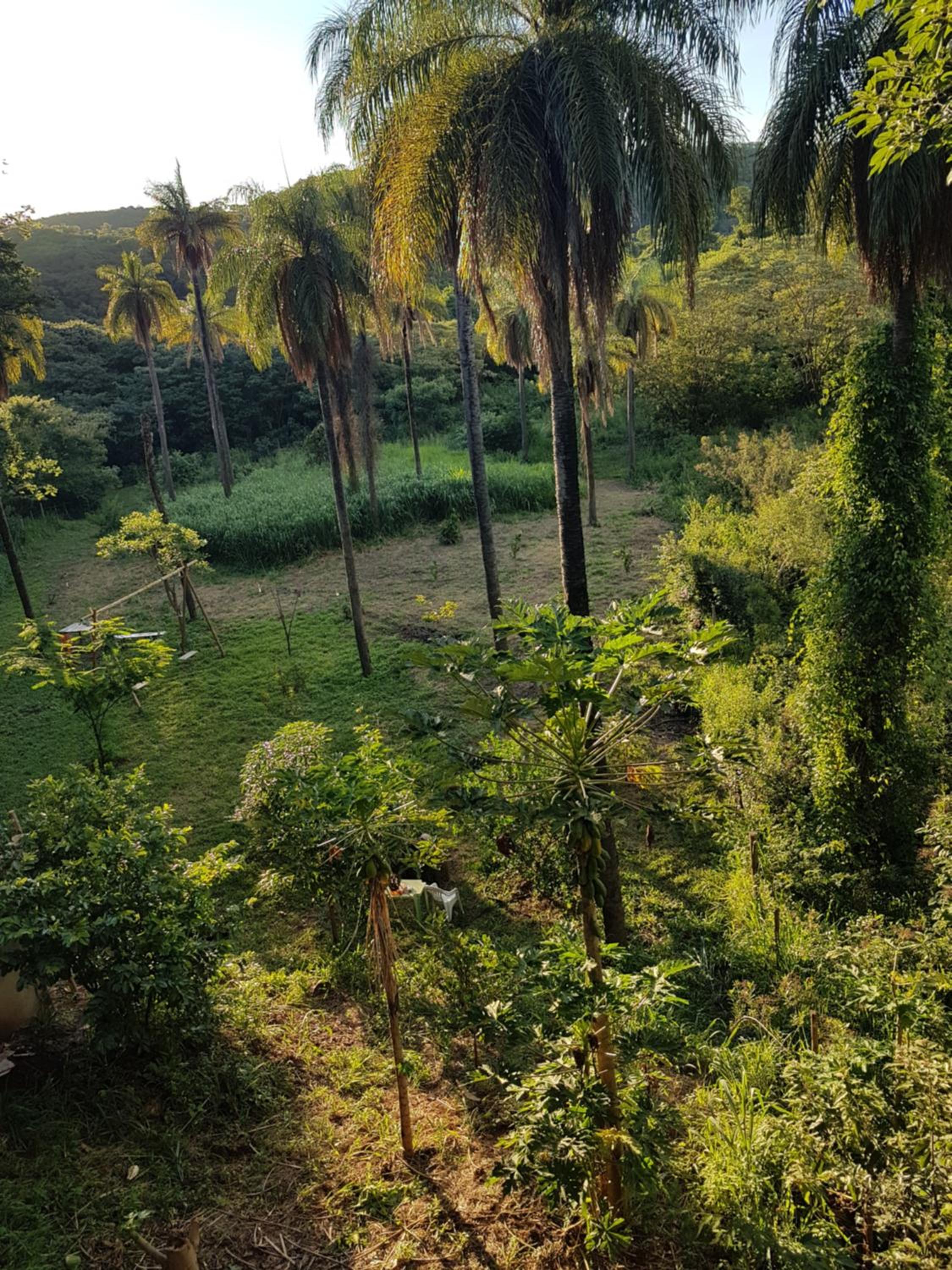 Photo 41