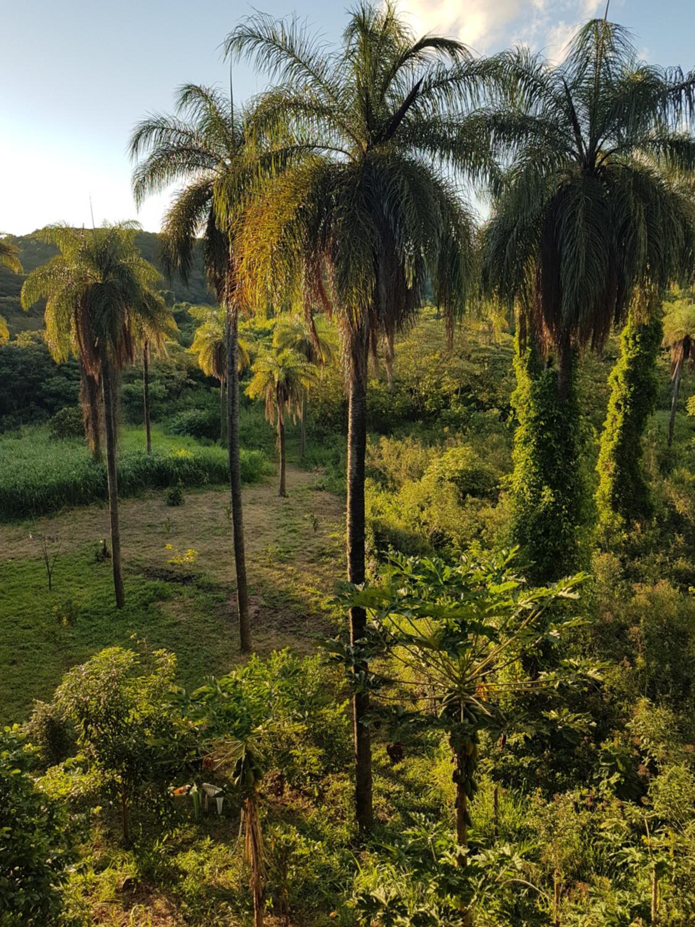 Photo 40
