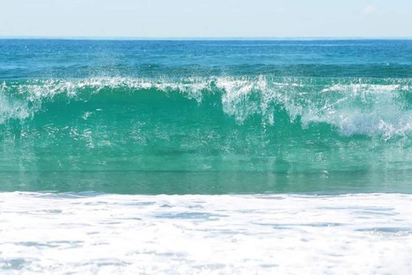 2203 The Wave