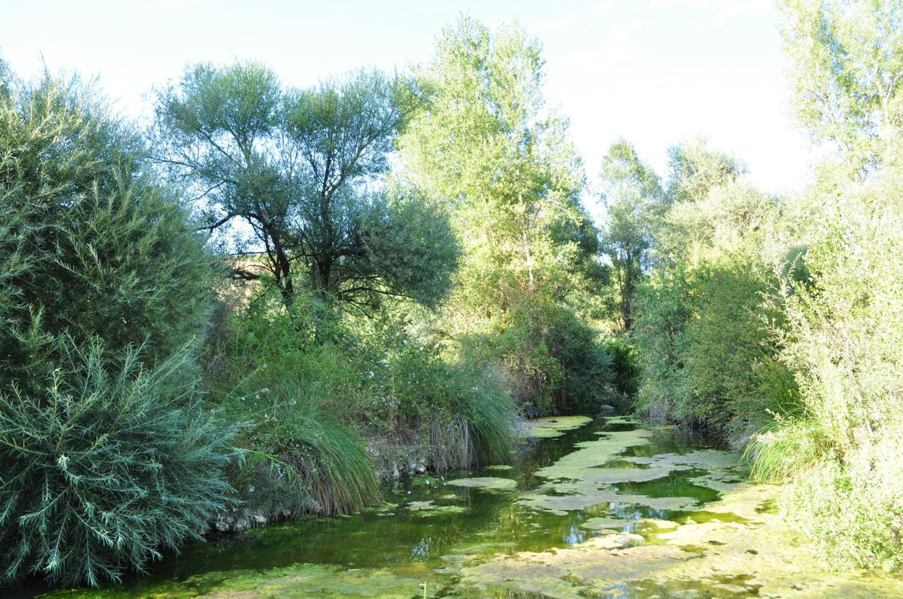 Agriturismo La Casaccina