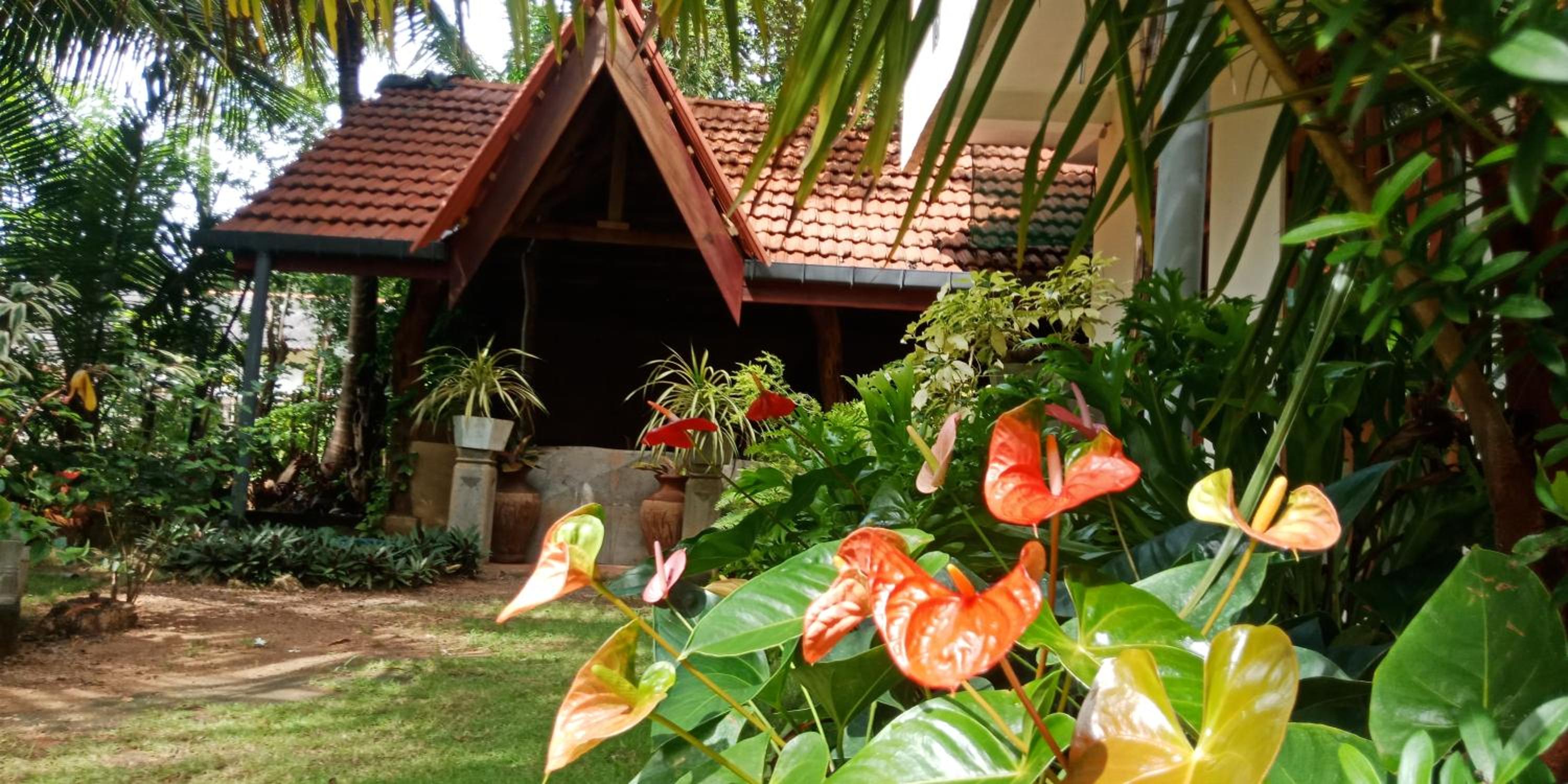 Wild View Stay view 3