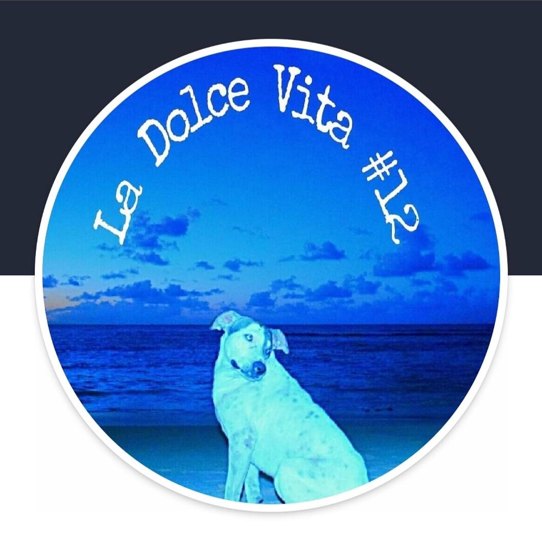 La Dolce Vita 12 Beachfront Hotels, Las Terrenas, Samana
