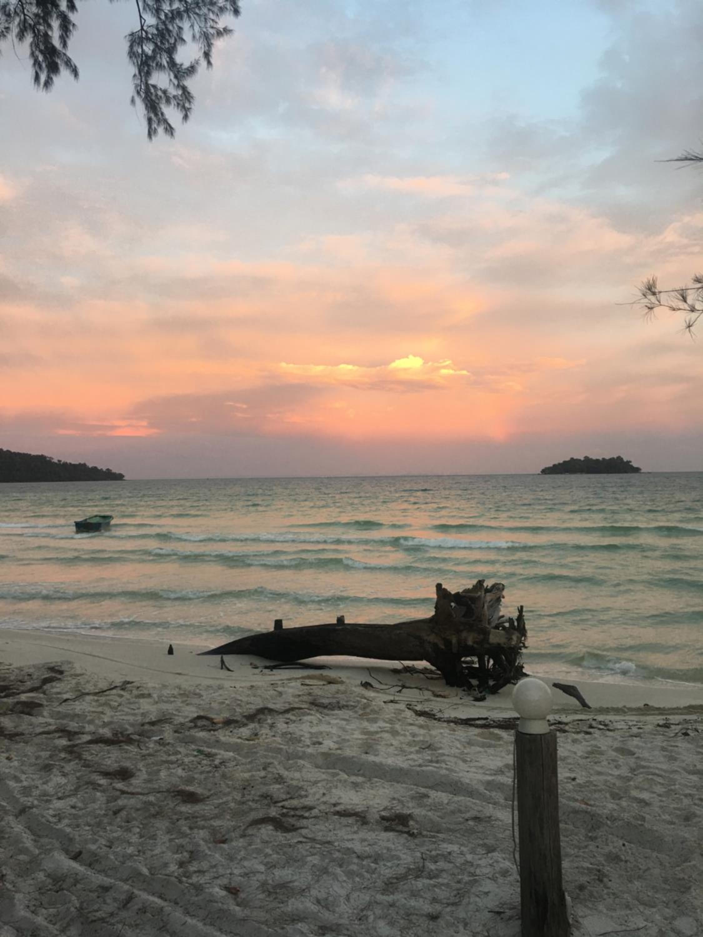 Nest Beach Club