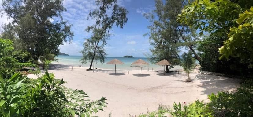 Nest Beach Club