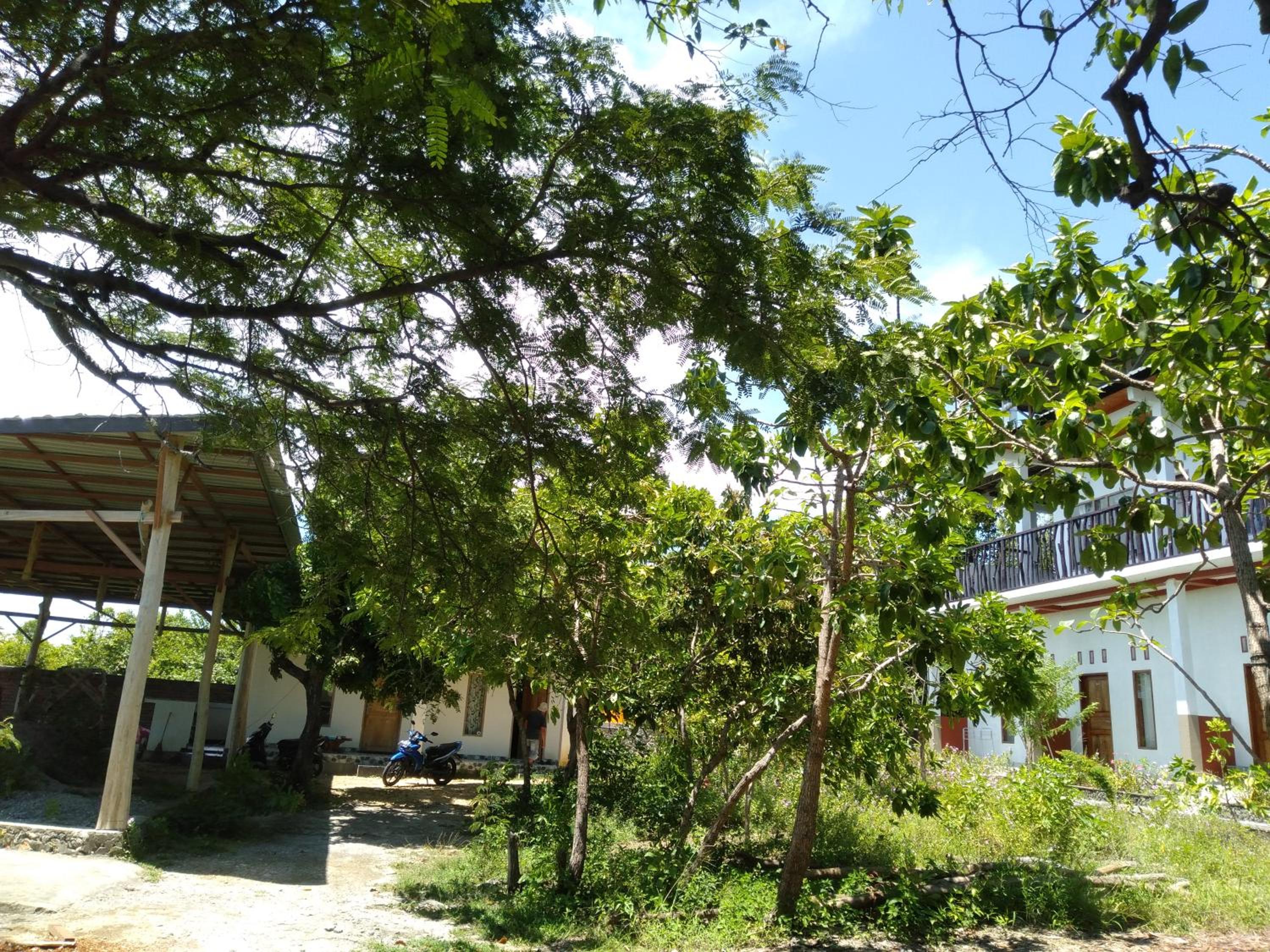 Photo 19