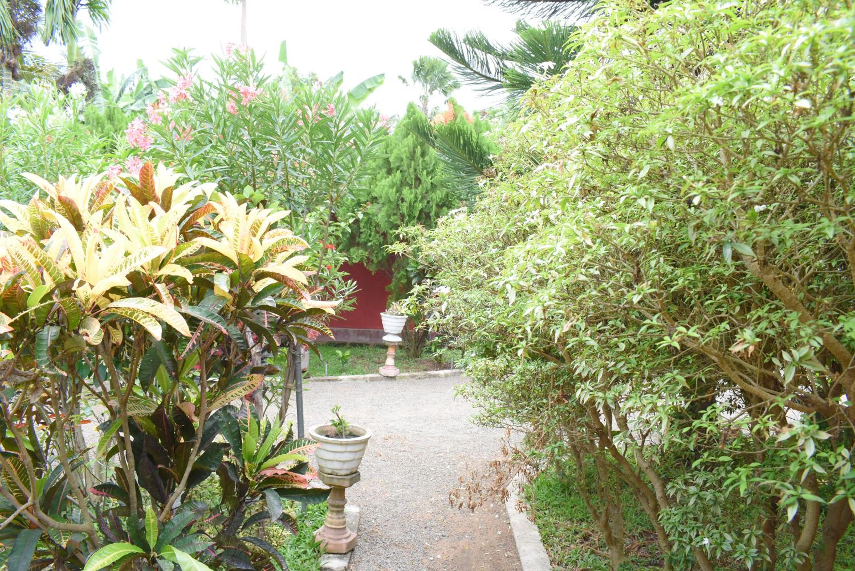garden