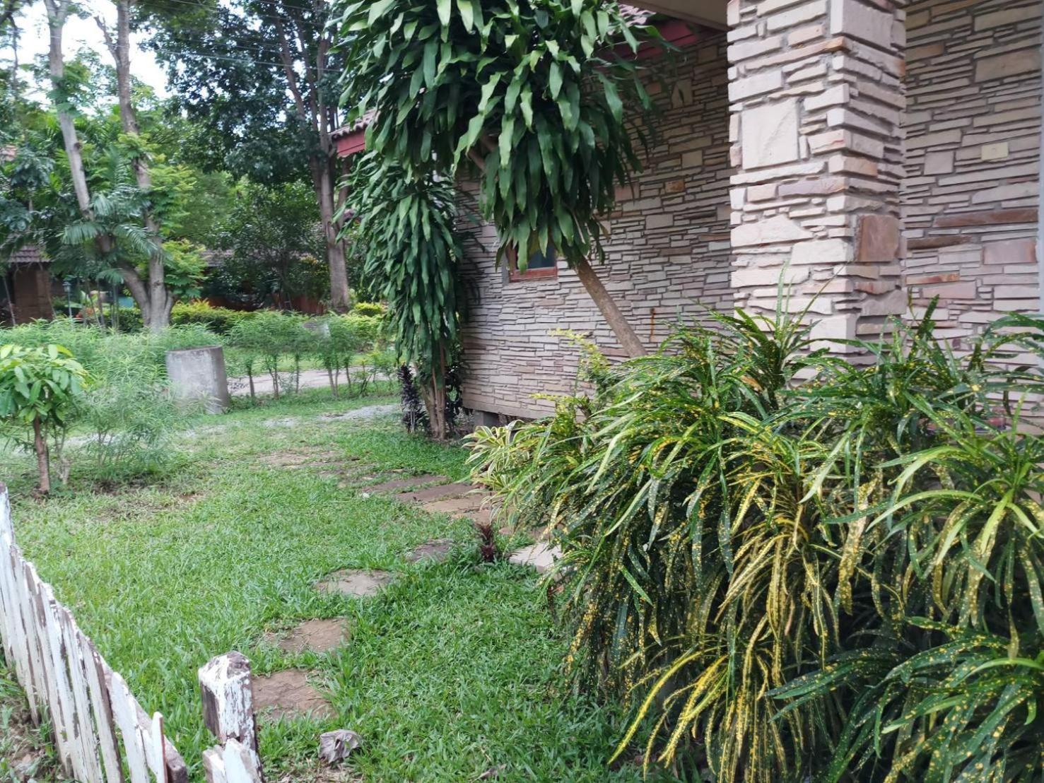 Photo 7