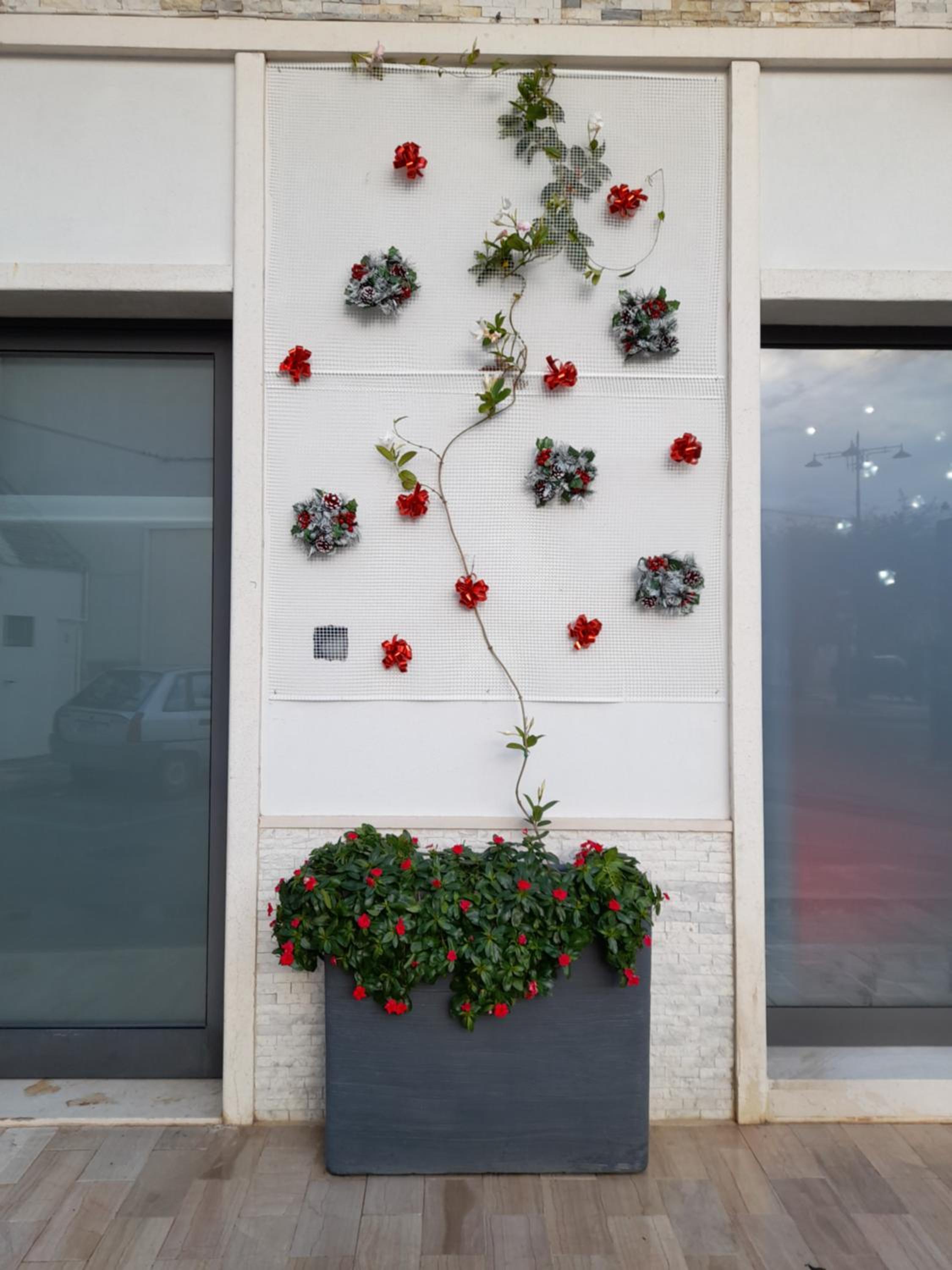 Dimora Palma en Alberobello — other