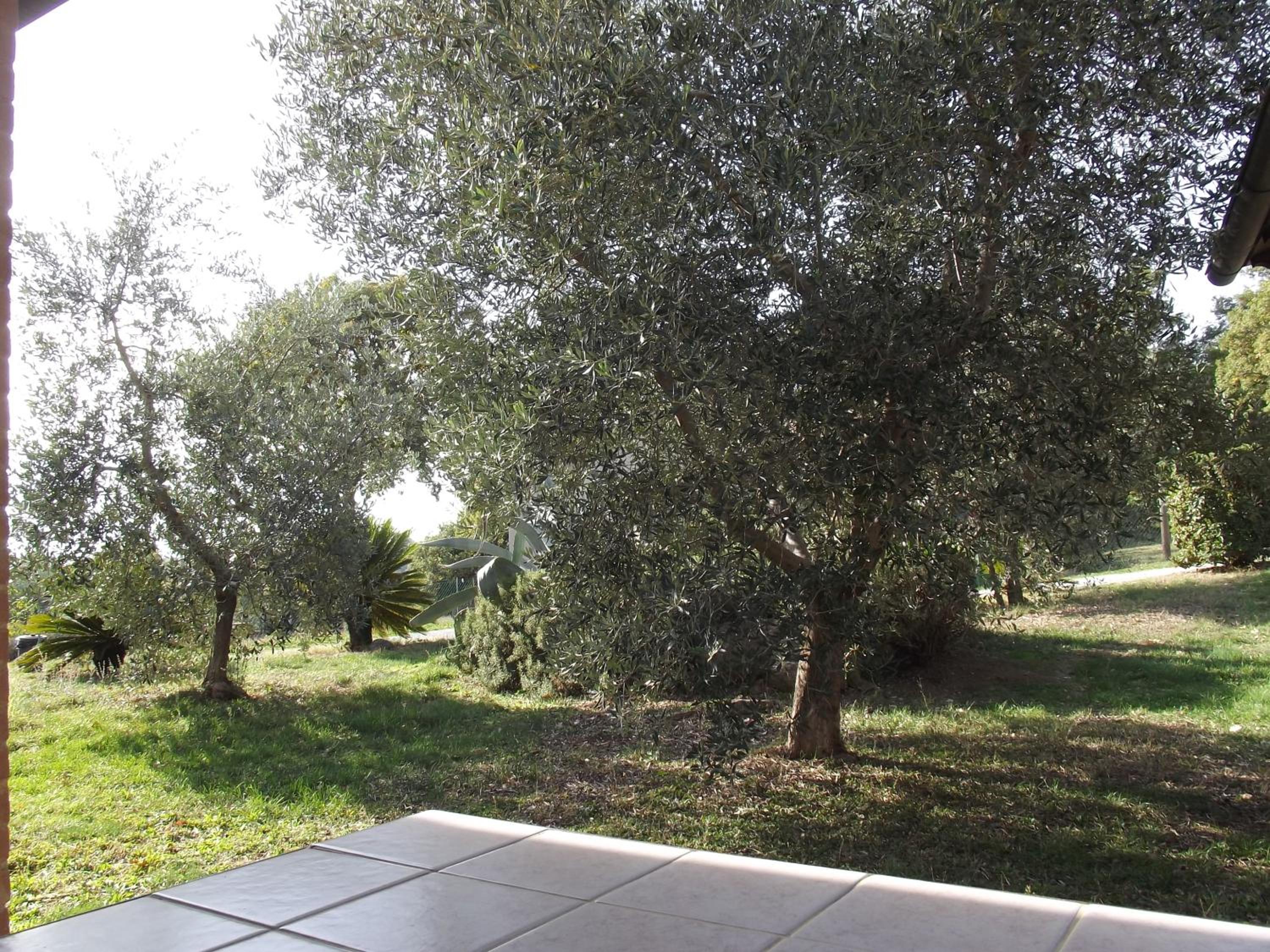 Agriturismo La Conserva view 3