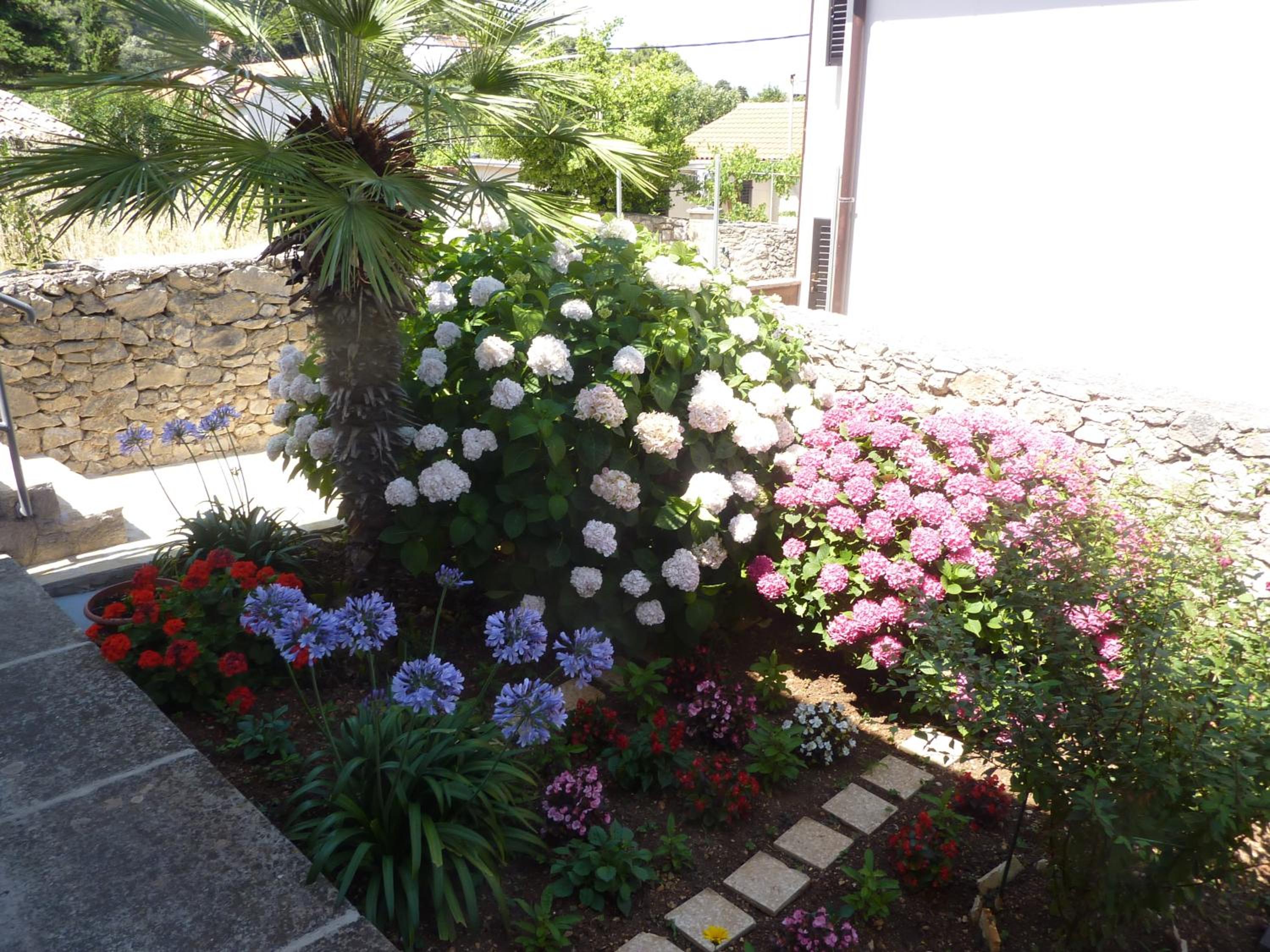 Photo 36